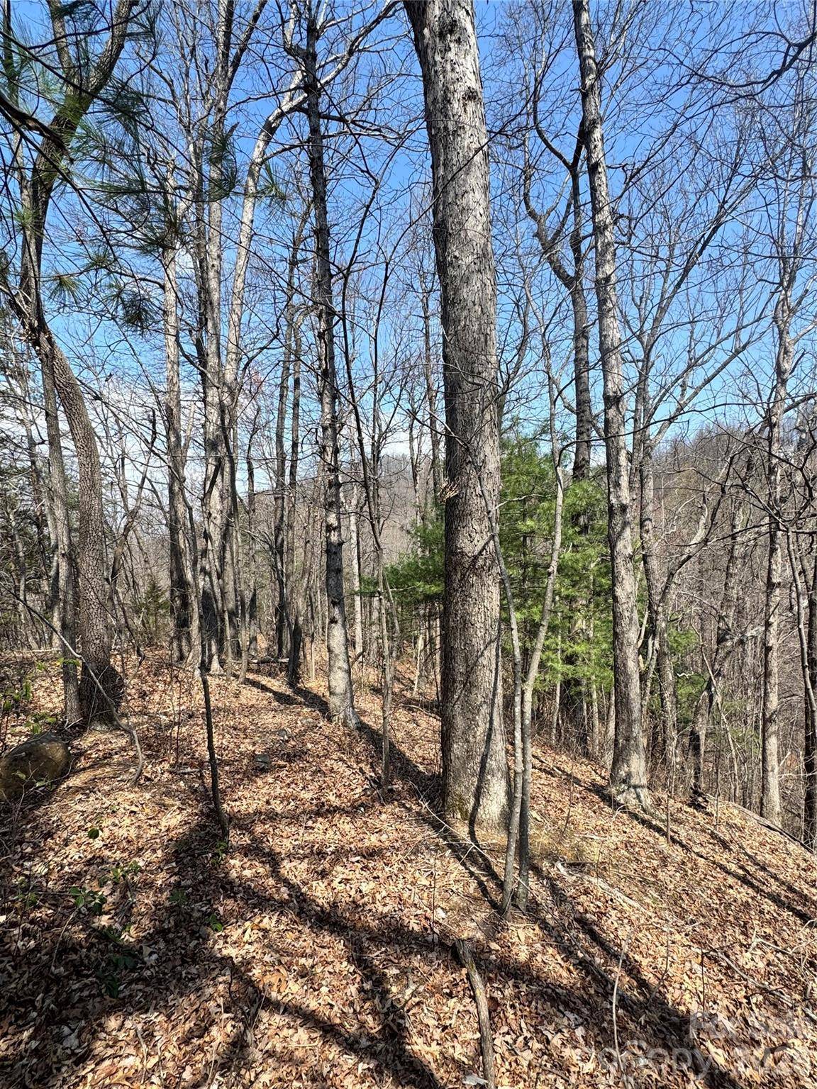 0000 Pinnacle Pkwy, Union Mills, NC 28167