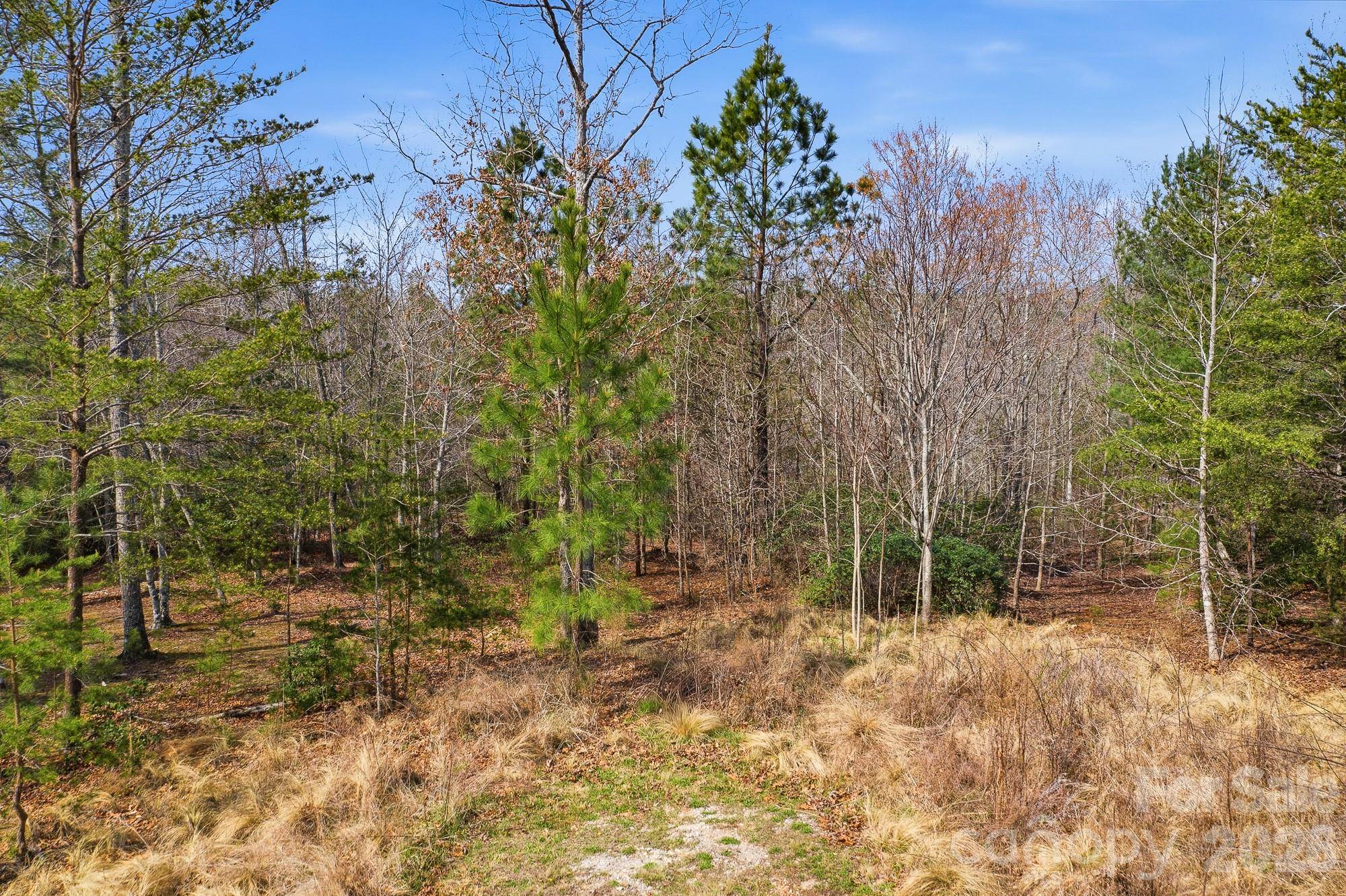 184 Ridge Point RD, Nebo, NC 28761