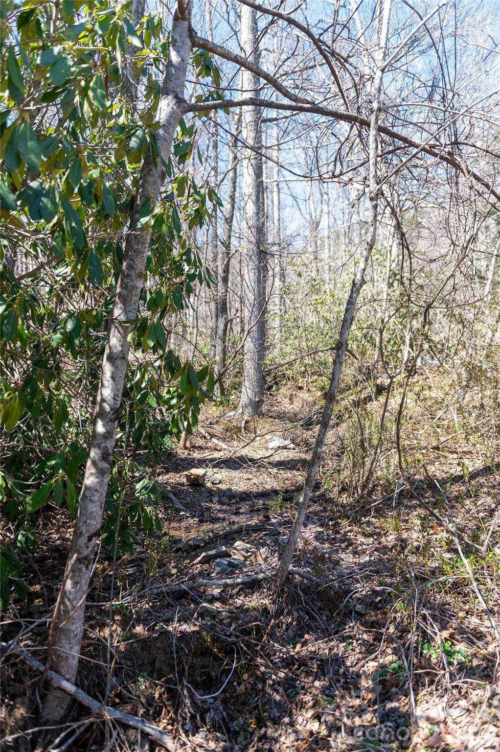 99 Banjo Branch RD, Burnsville, NC 28714