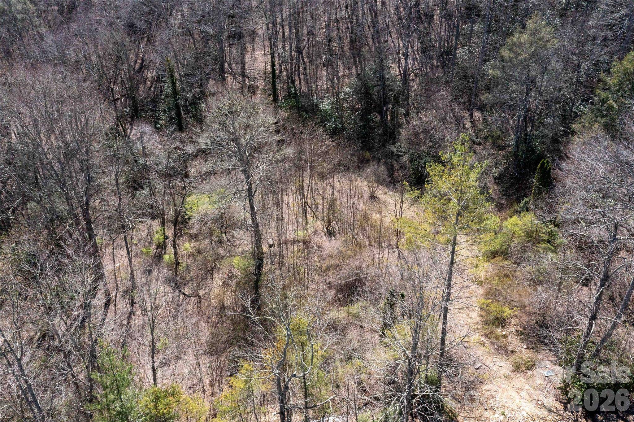 99 Banjo Branch RD, Burnsville, NC 28714