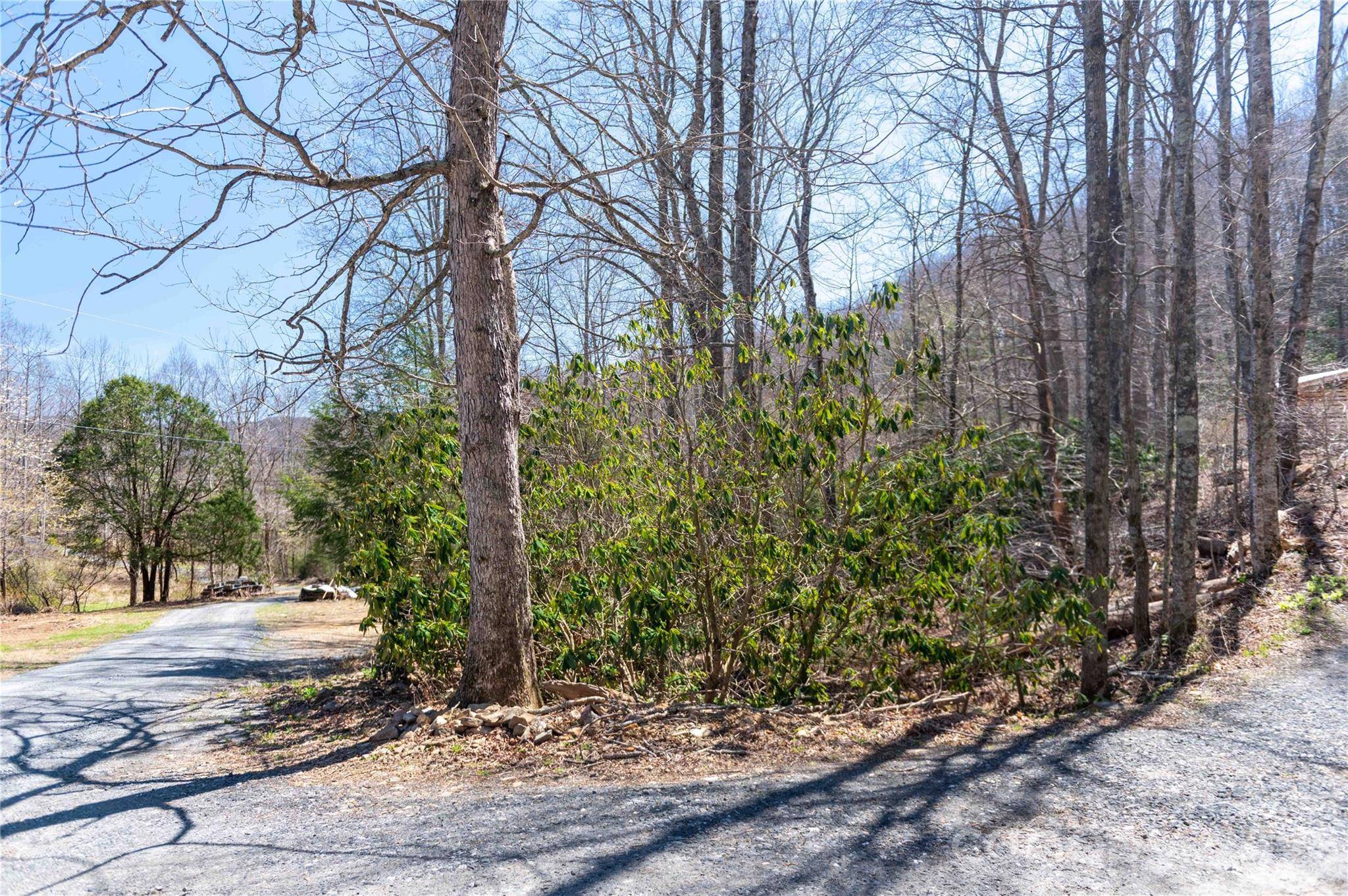 99 Banjo Branch RD, Burnsville, NC 28714