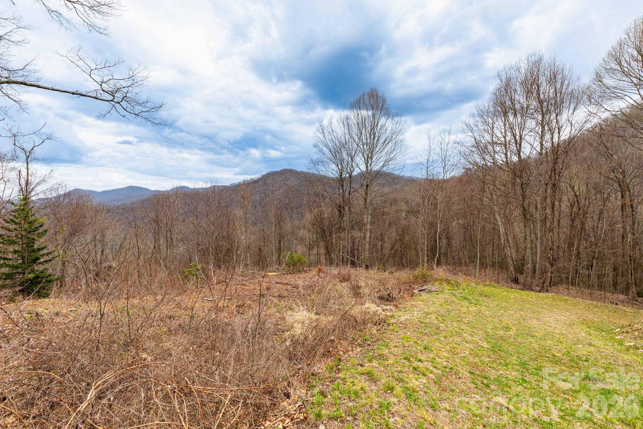 11 Chandra LN, Clyde, NC 28721