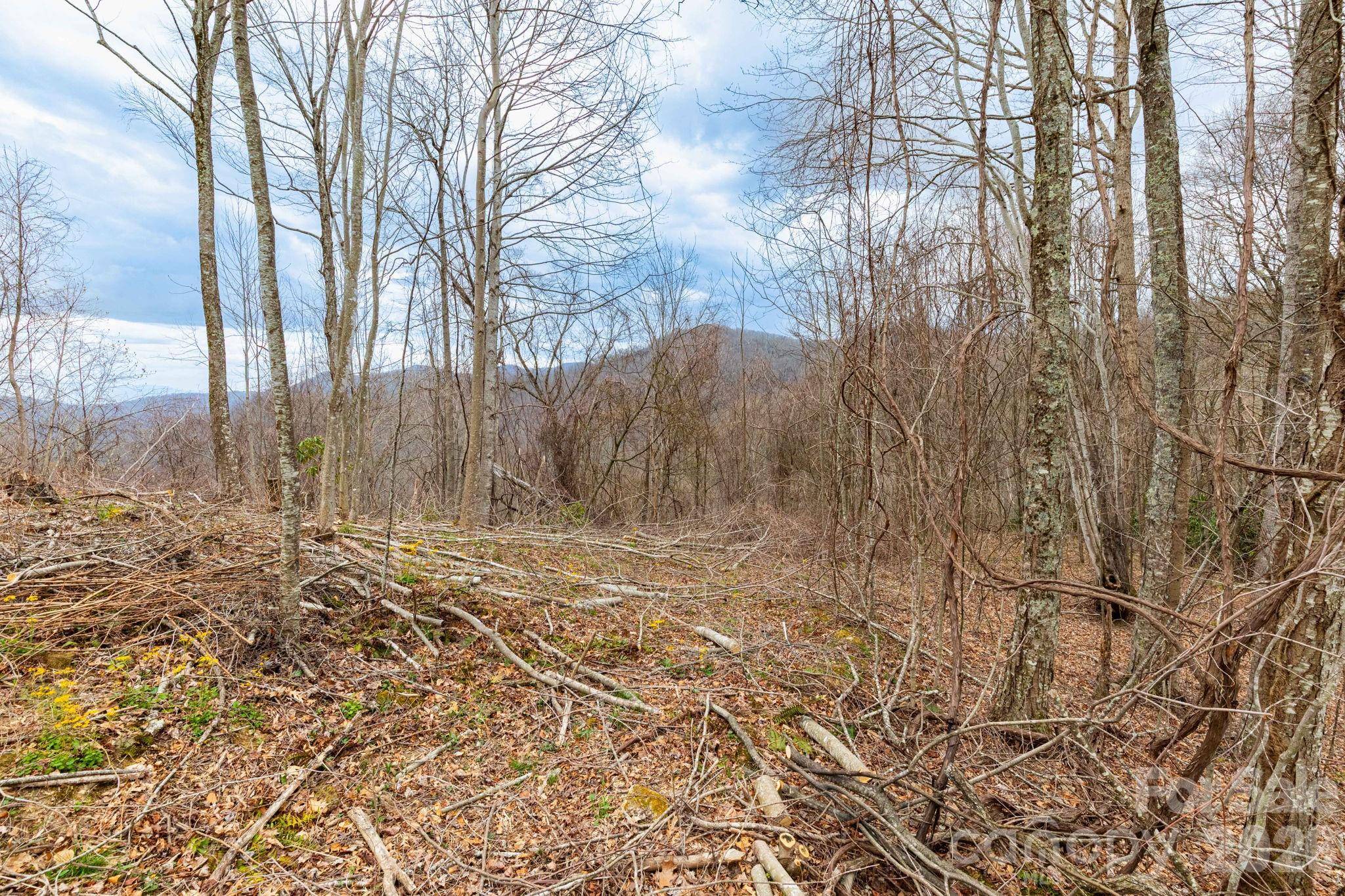 11 Chandra LN, Clyde, NC 28721