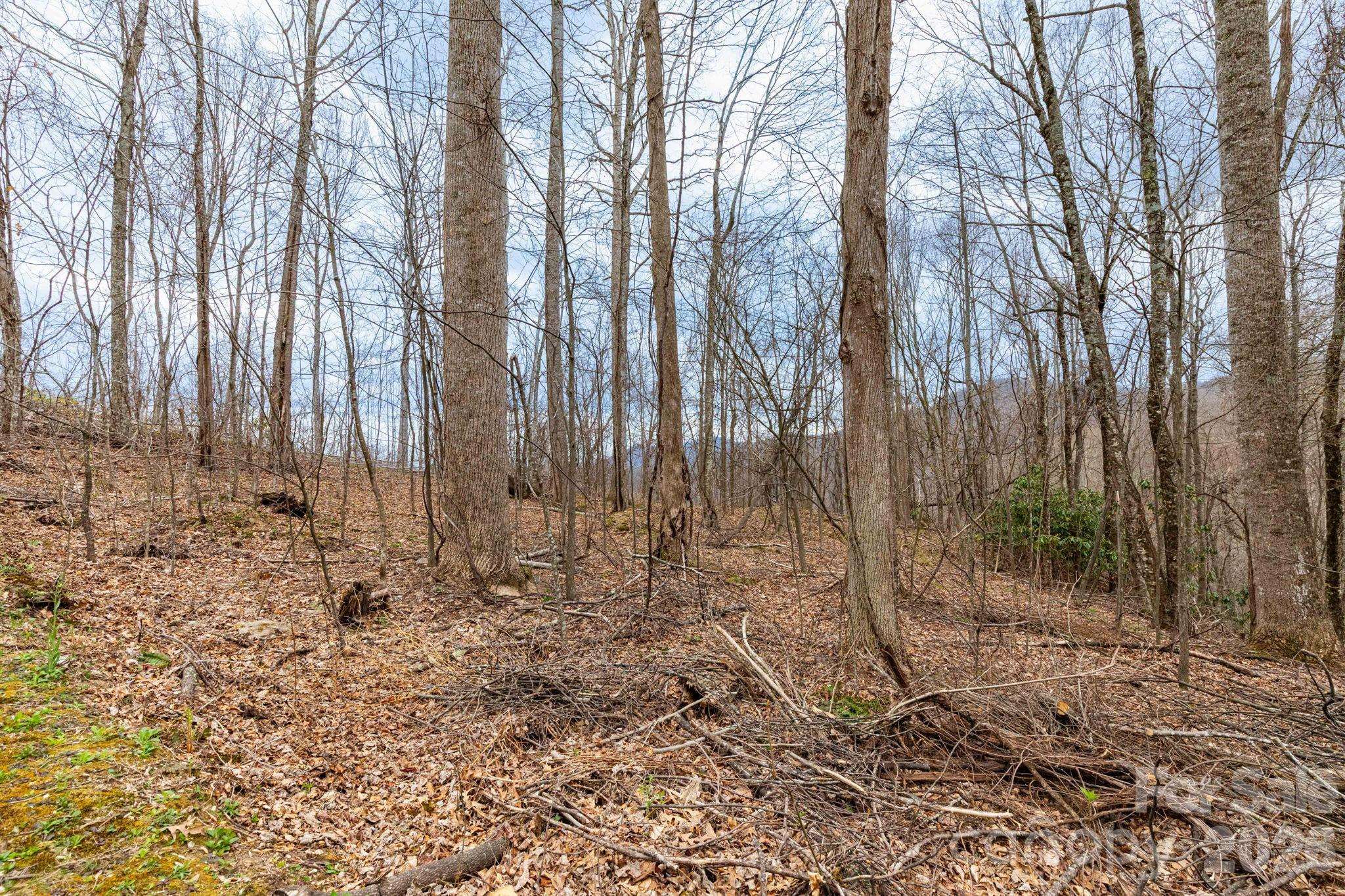 11 Chandra LN, Clyde, NC 28721