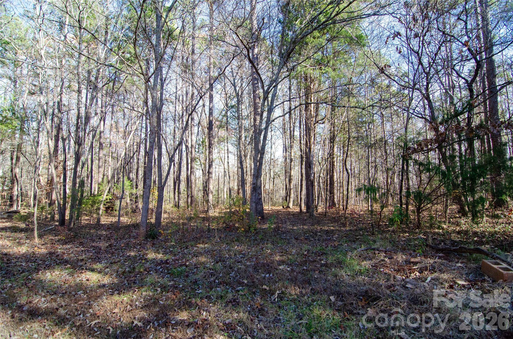 1415 Smith Woods LN, Hickory Grove, SC 29717