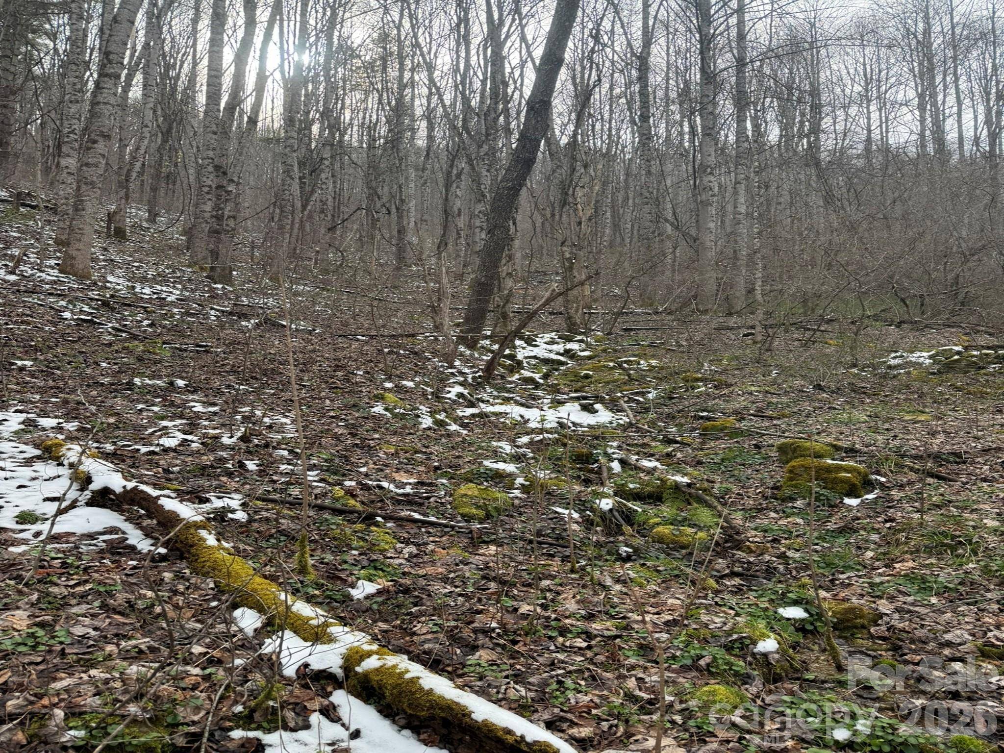 TBD 1.21 Acres Jass Cove RD, Marshall, NC 28753