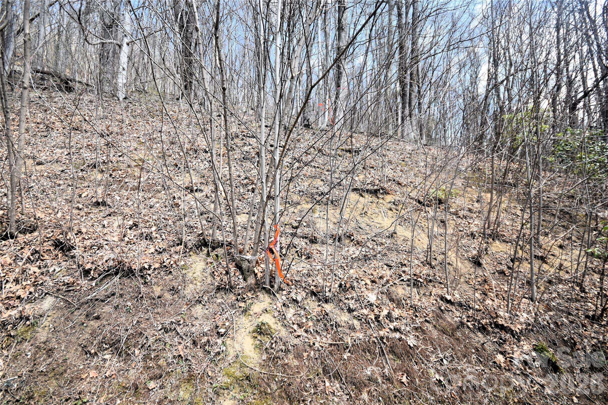 34 Montana Stone TRL #34, Waynesville, NC 28785