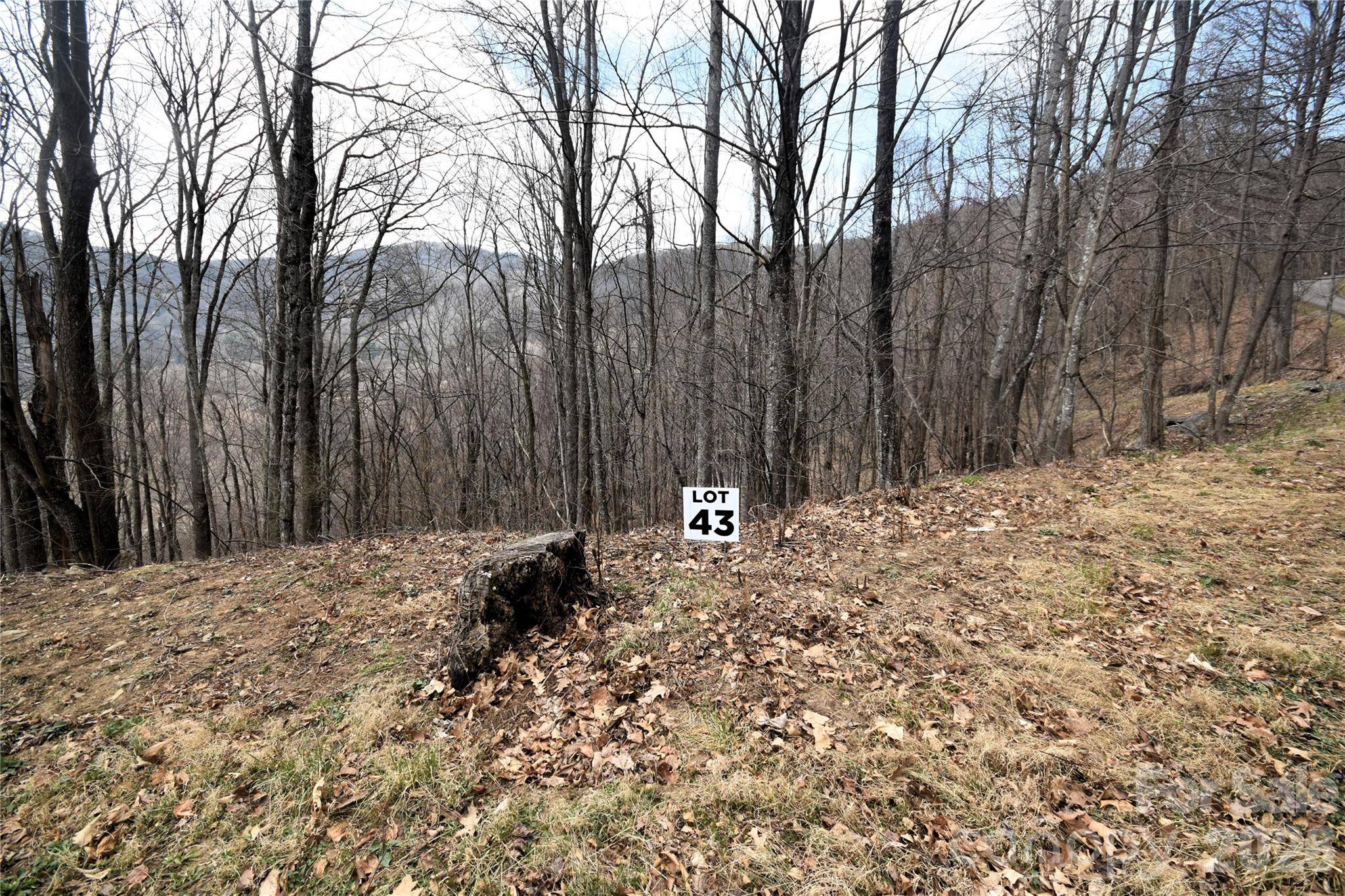 43 Marble Stone DR #43, Waynesville, NC 28785