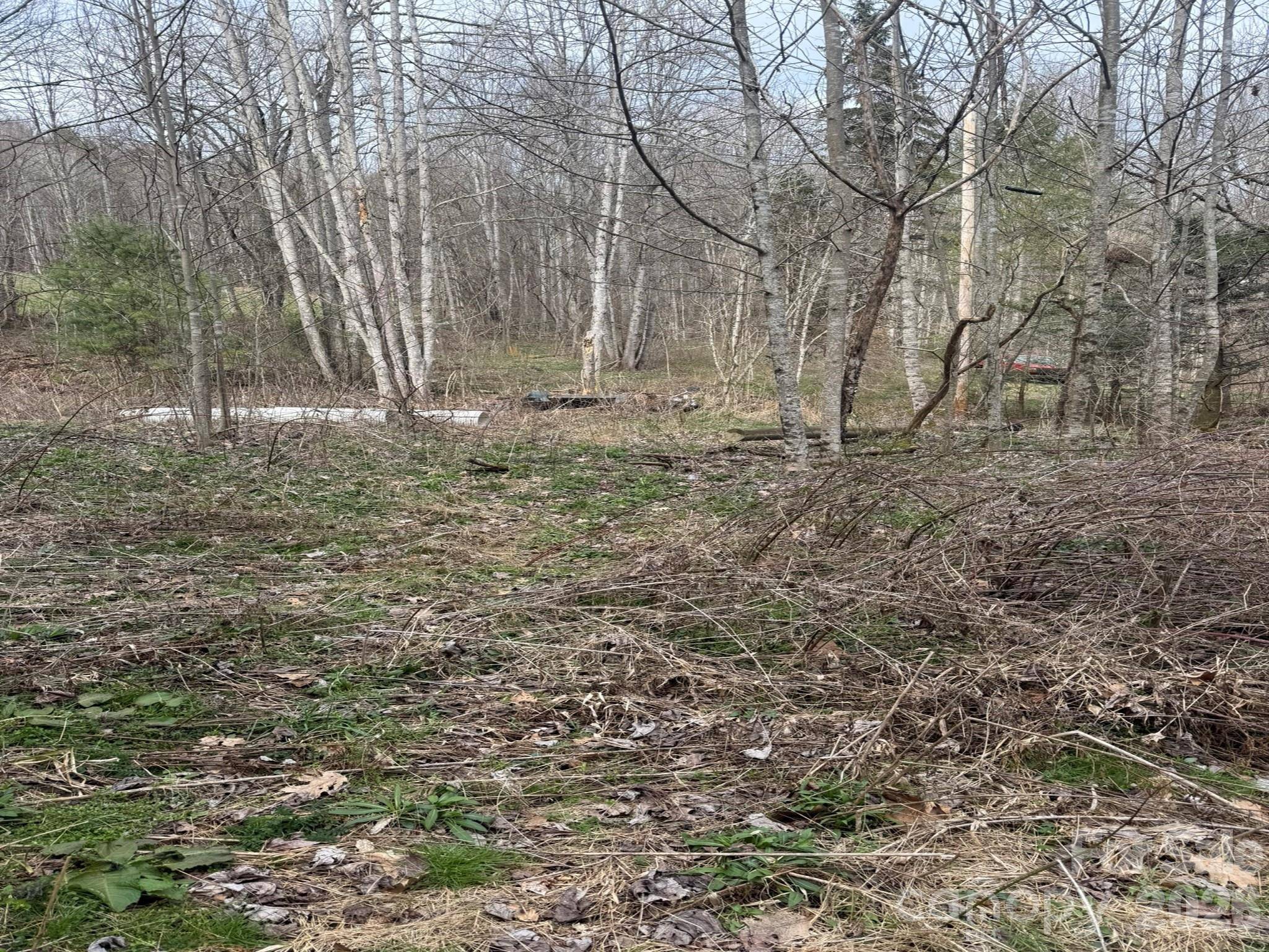 TBD 1.2 Acres Jass Cove RD, Marshall, NC 28753