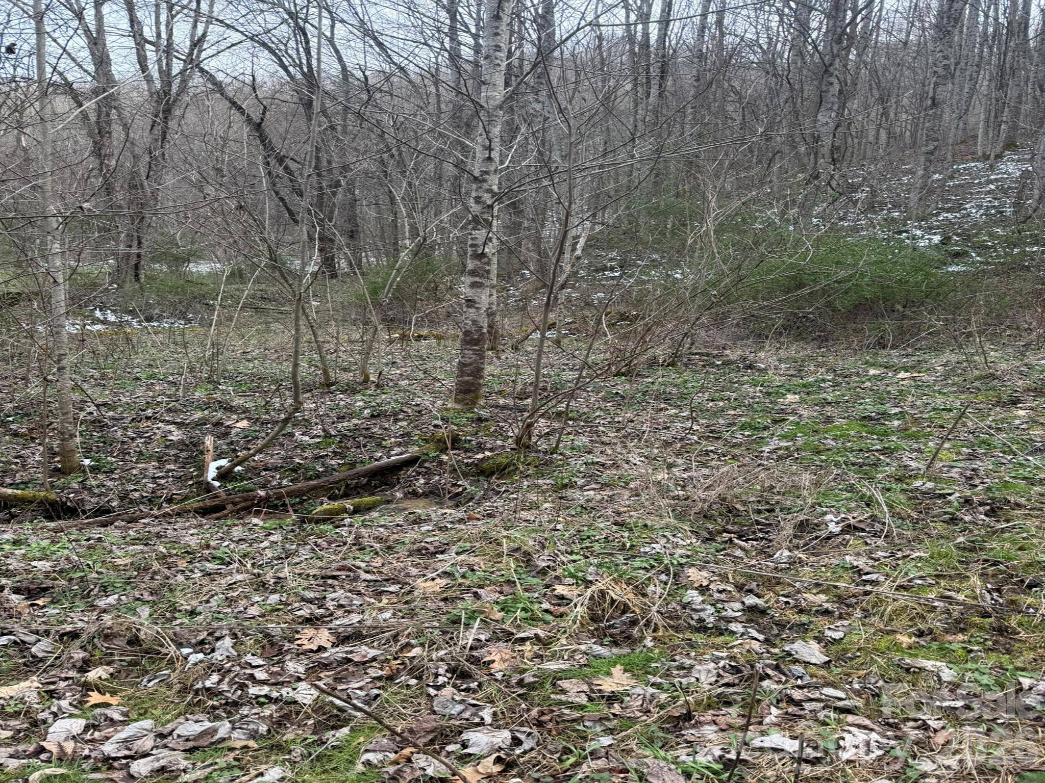 TBD 1.2 Acres Jass Cove RD, Marshall, NC 28753