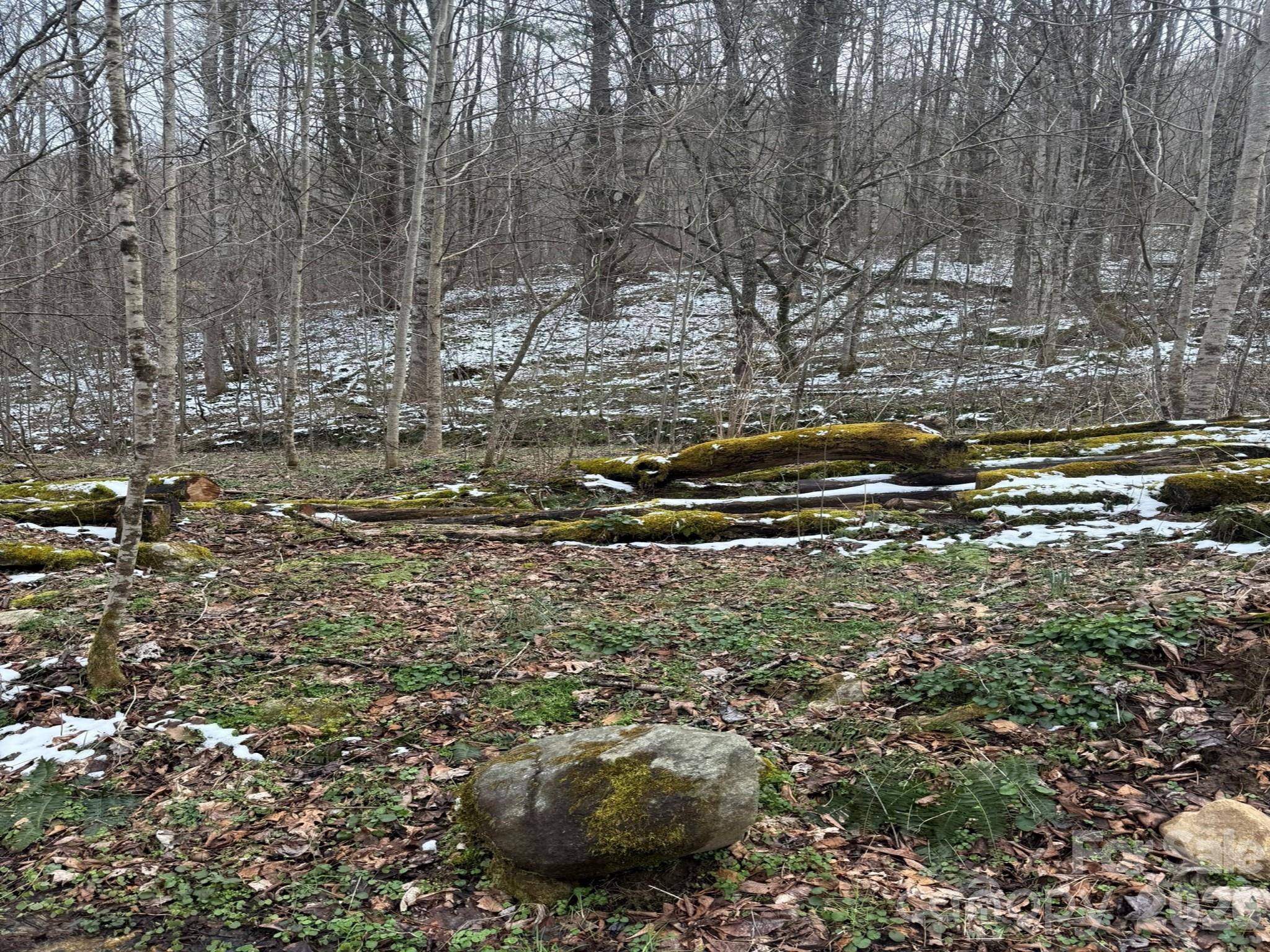 TBD 1.2 Acres Jass Cove RD, Marshall, NC 28753