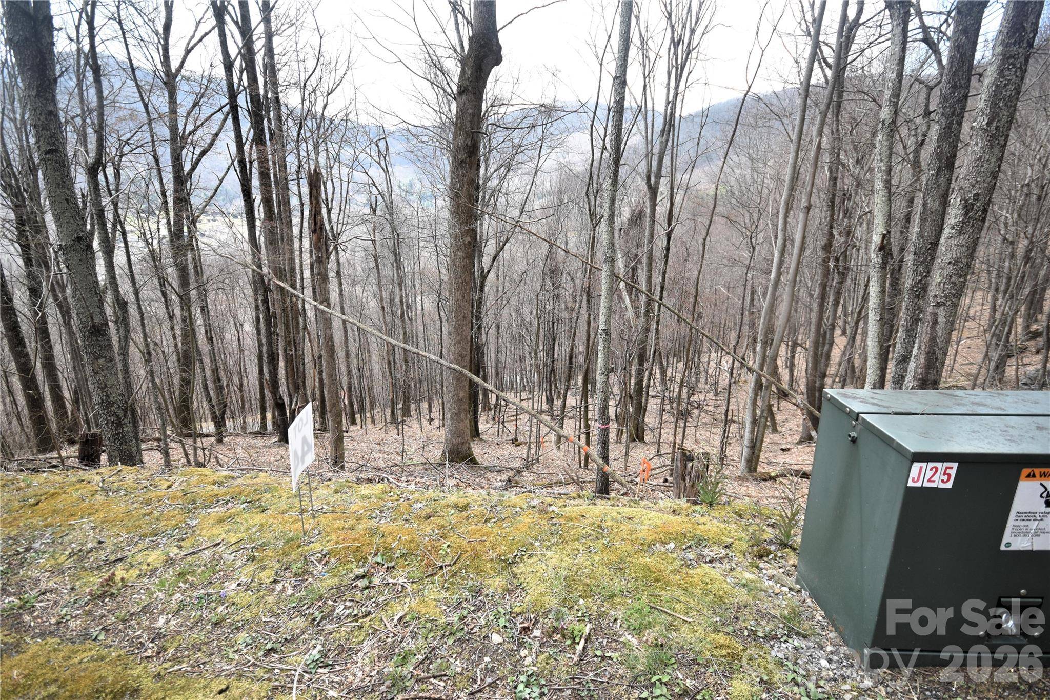 44 Prosperity RDG #44, Waynesville, NC 28785