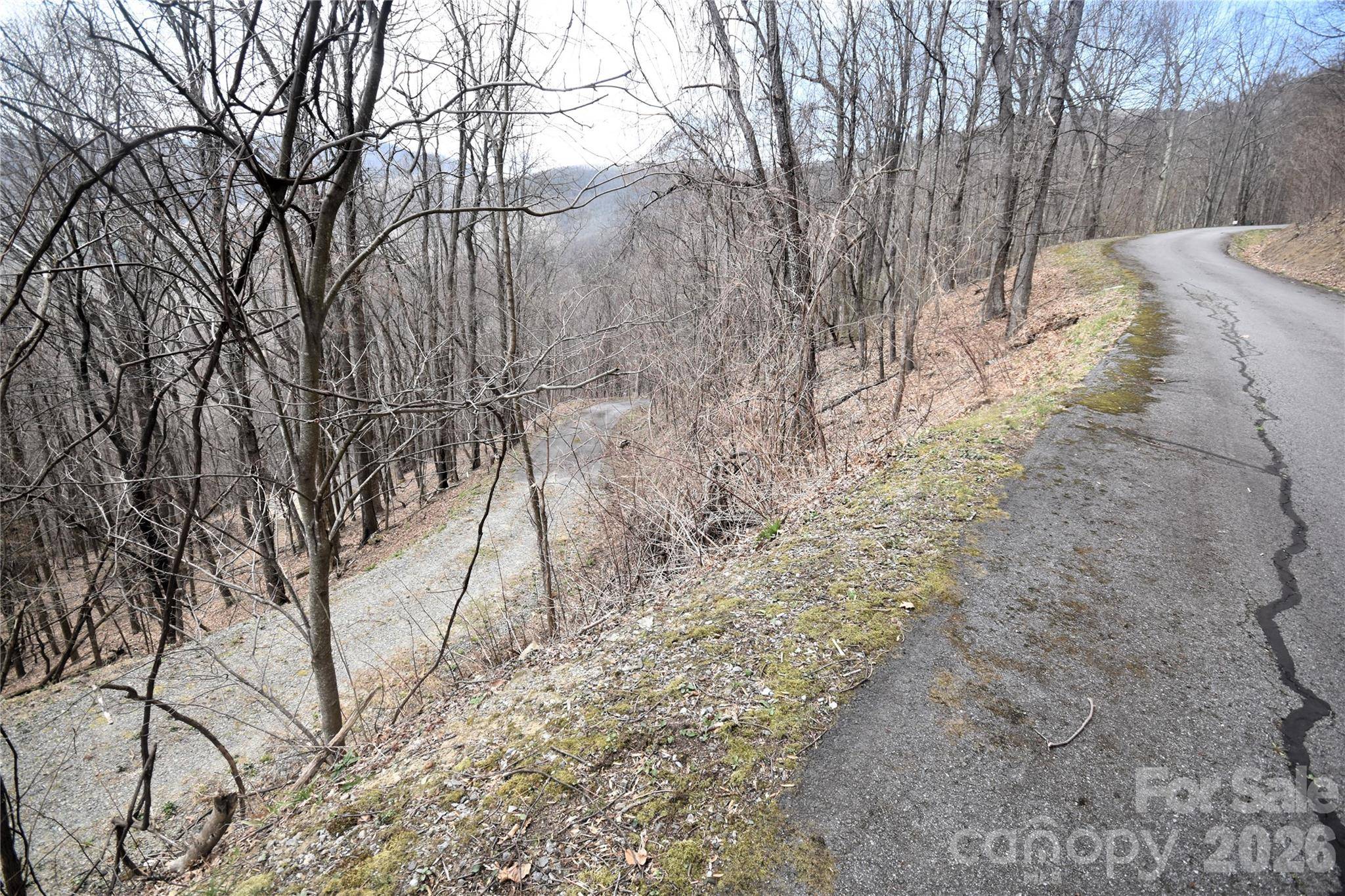 44 Prosperity RDG #44, Waynesville, NC 28785