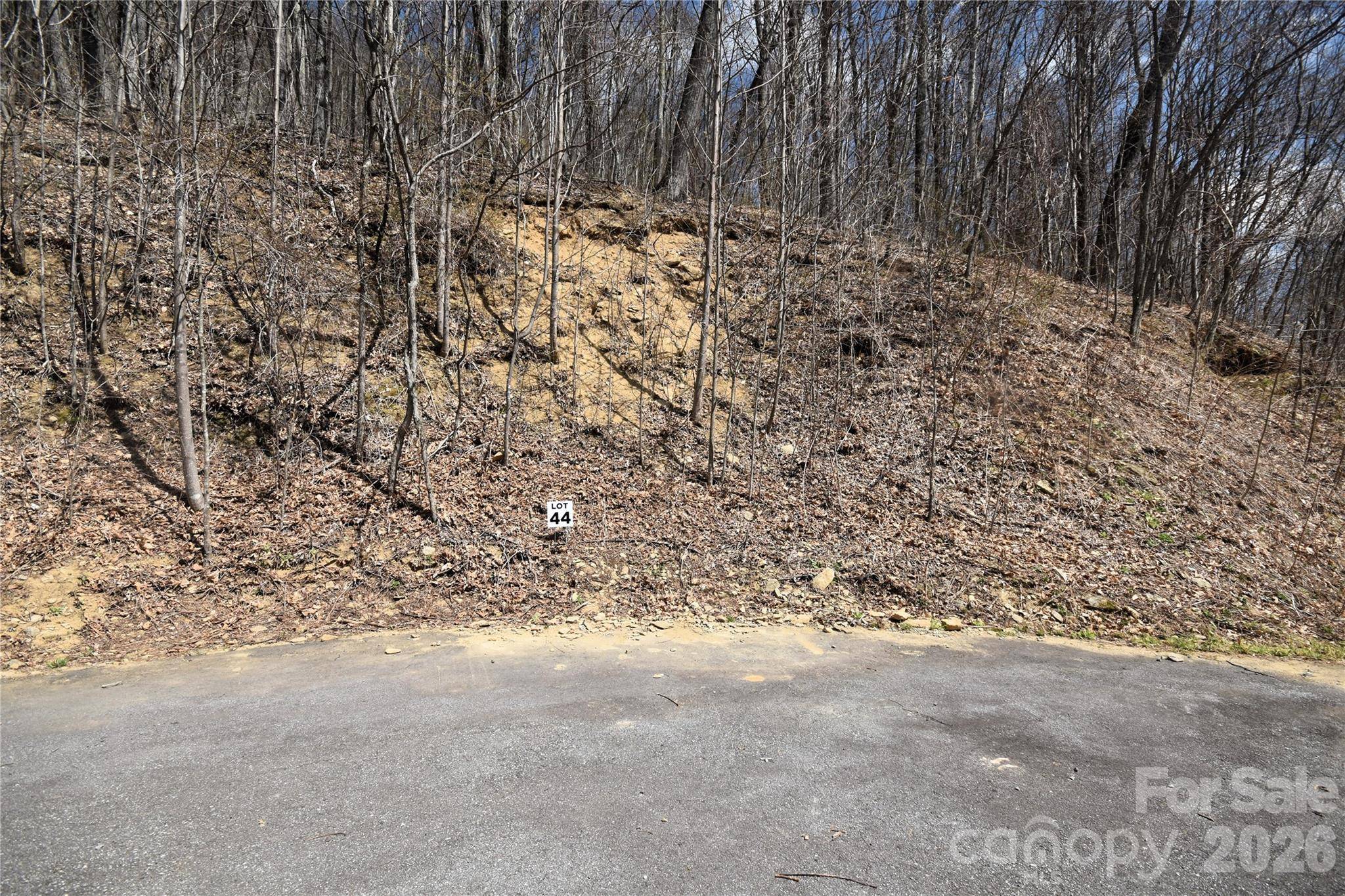 44 Prosperity RDG #44, Waynesville, NC 28785