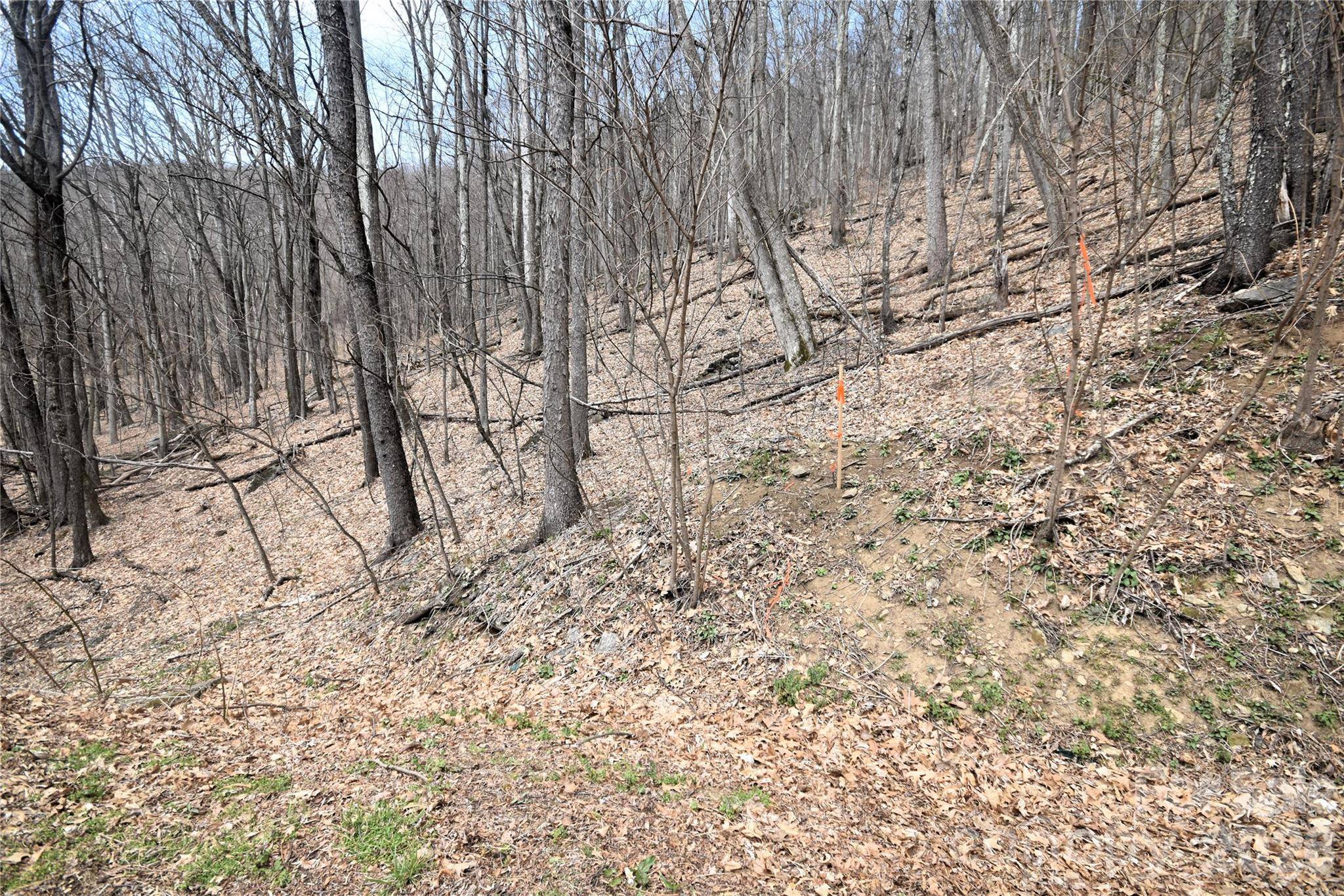 45 Prosperity RDG #45, Waynesville, NC 28785