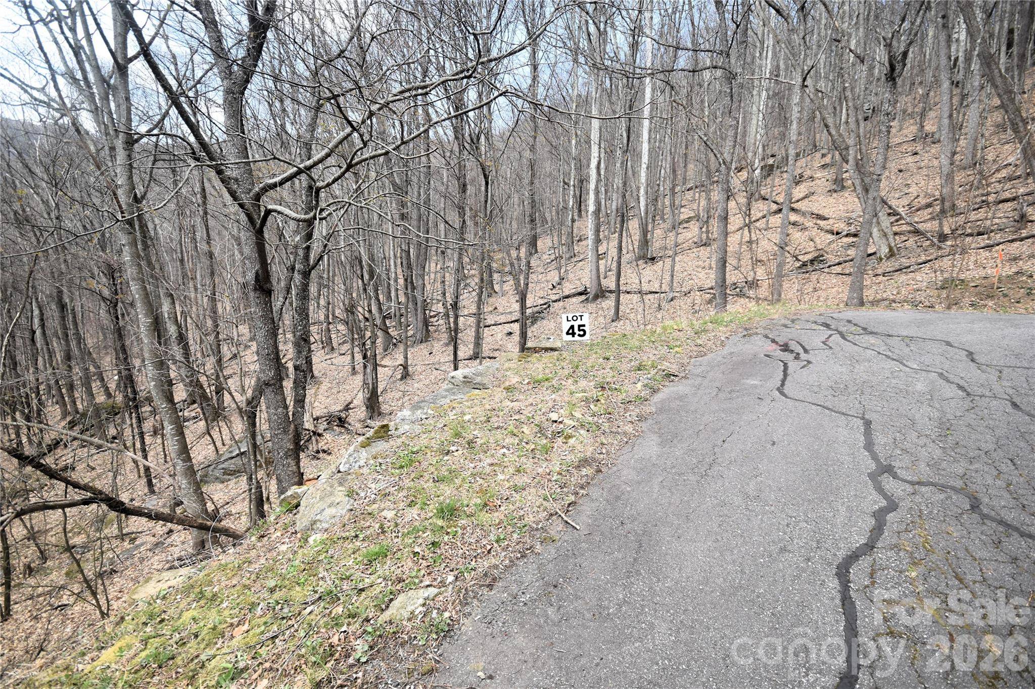 45 Prosperity RDG #45, Waynesville, NC 28785