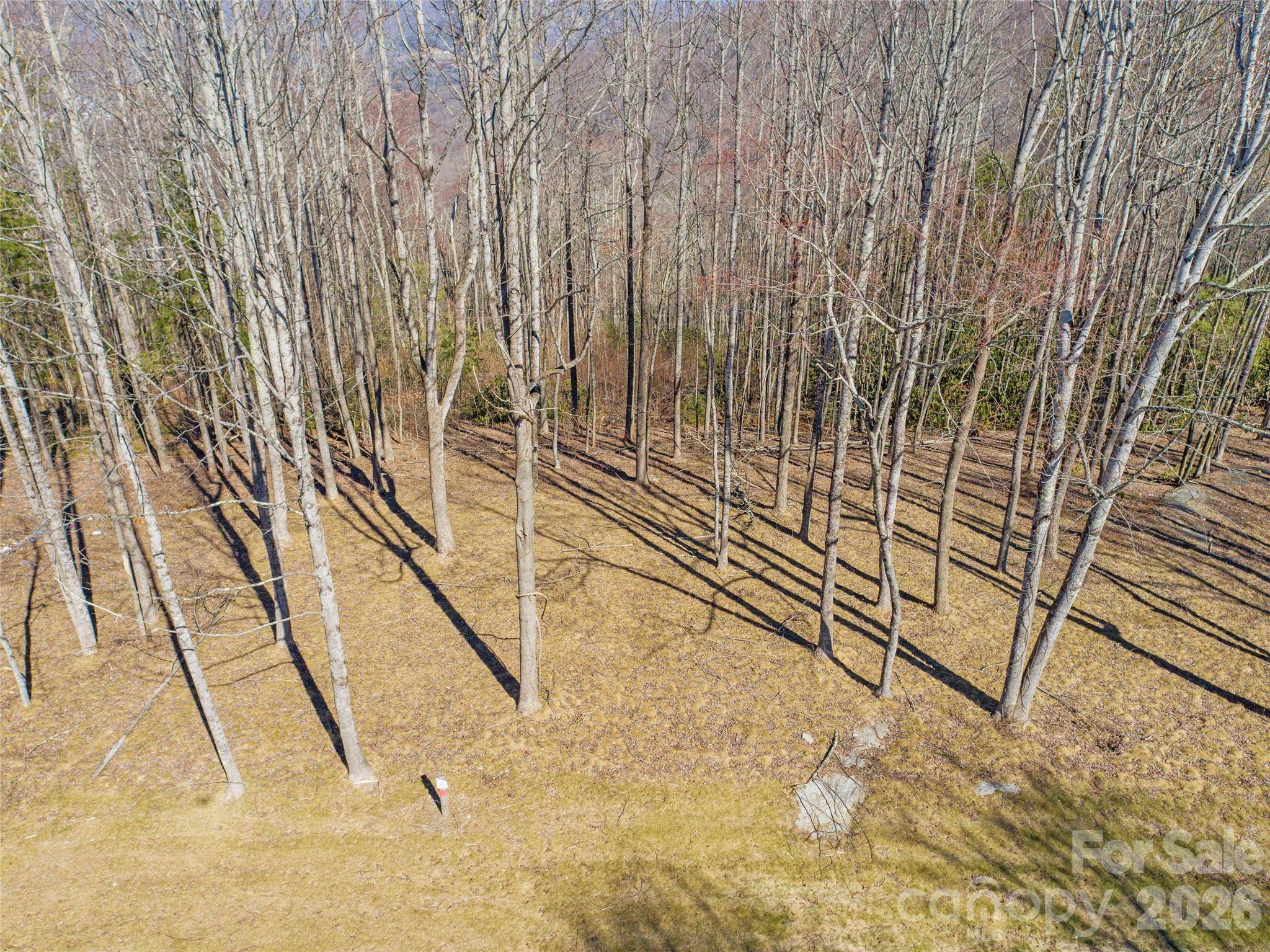 0 East Garden TRL #16, Hendersonville, NC 28792