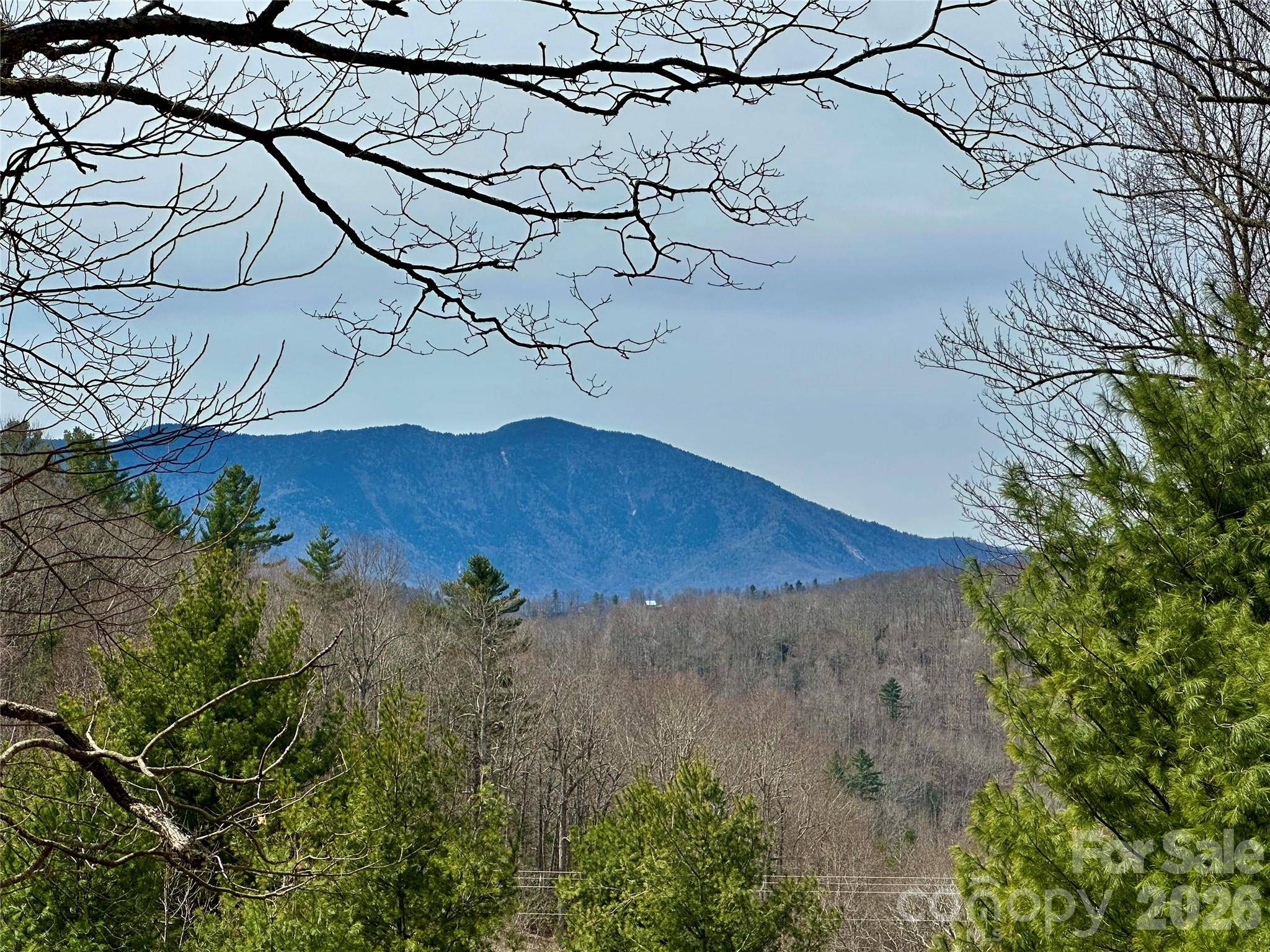 65 Blue Ridge Gem Mine RD, Little Switzerland, NC 28777