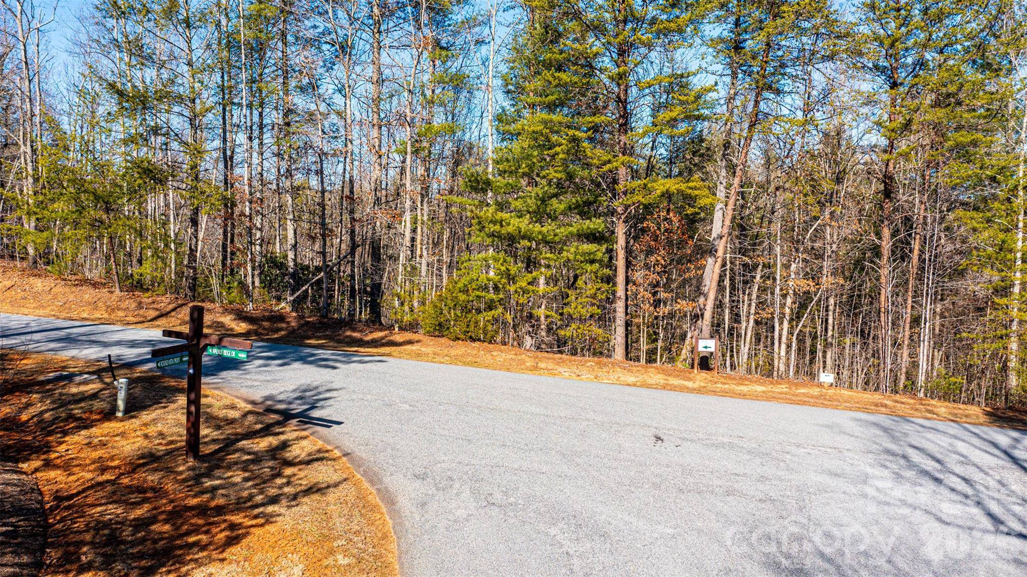 4420 Walnut Ridge DR, Lenoir, NC 28645