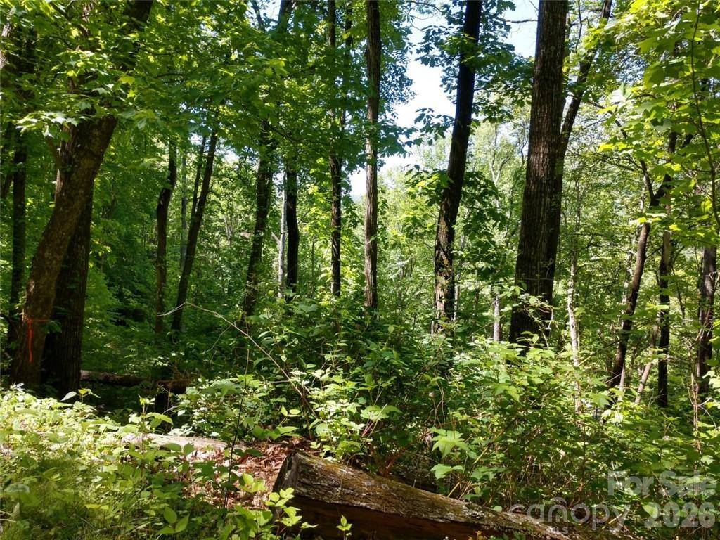 00 Hudson Valley DR #11, Waynesville, NC 28786