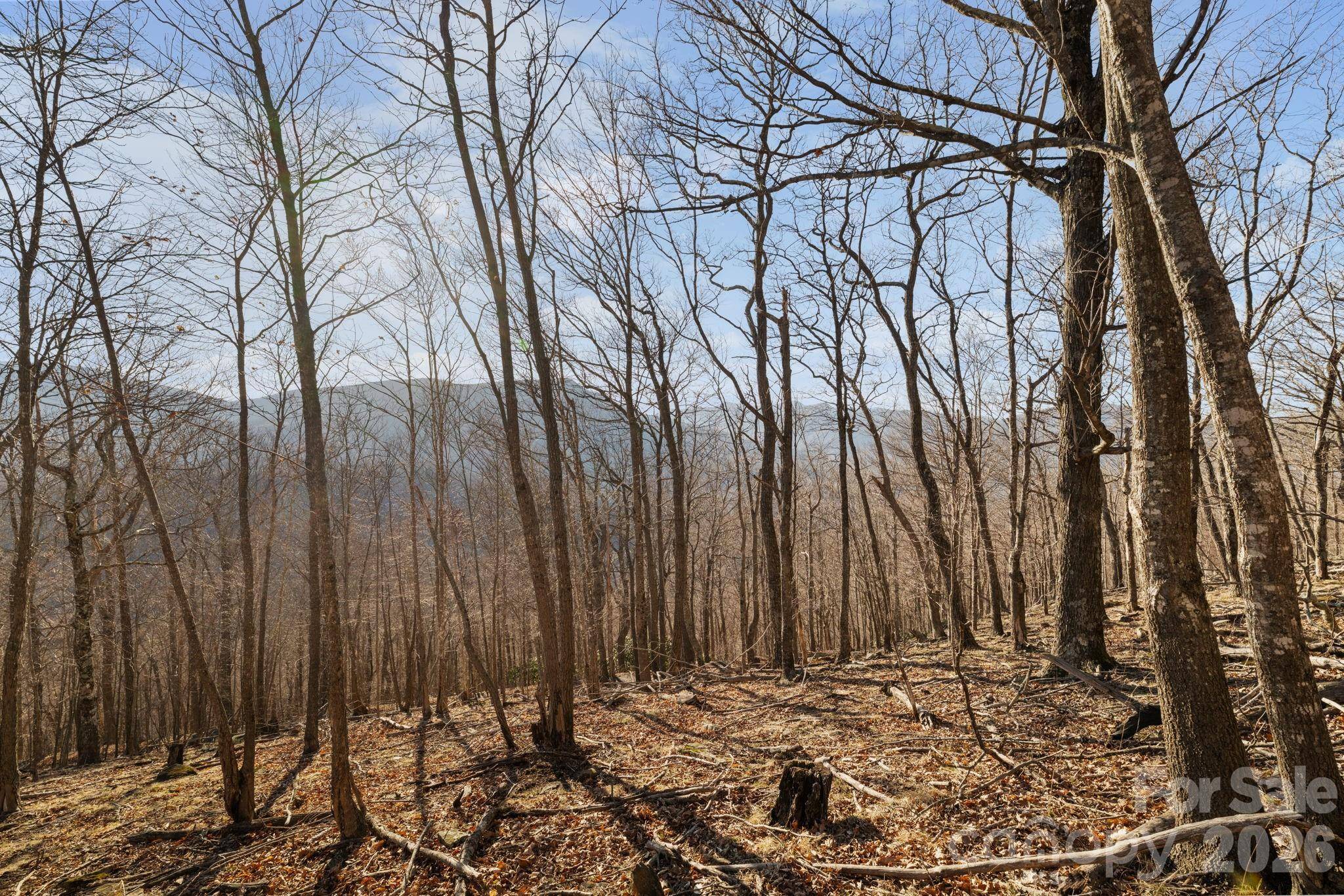 TBD Lauren LN #174,175,247,248, West Jefferson, NC 28694