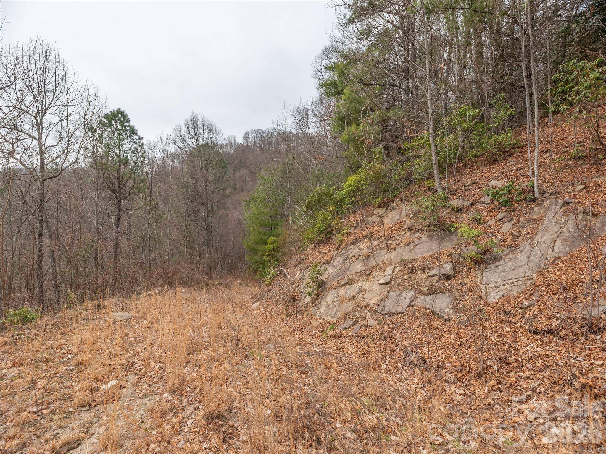 000 Sigogglin RD #17, Waynesville, NC 28786