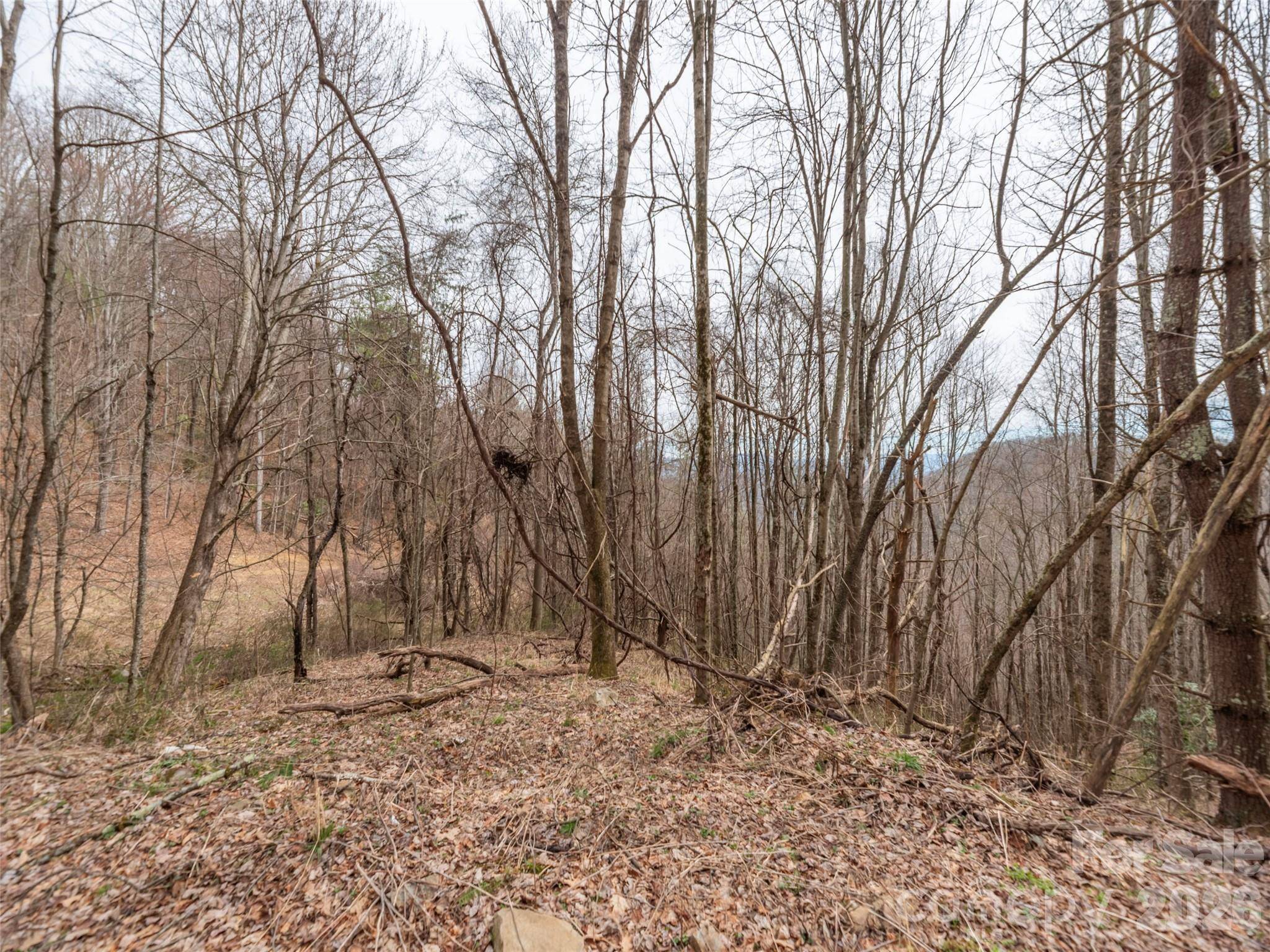000 Sigogglin RD #17, Waynesville, NC 28786