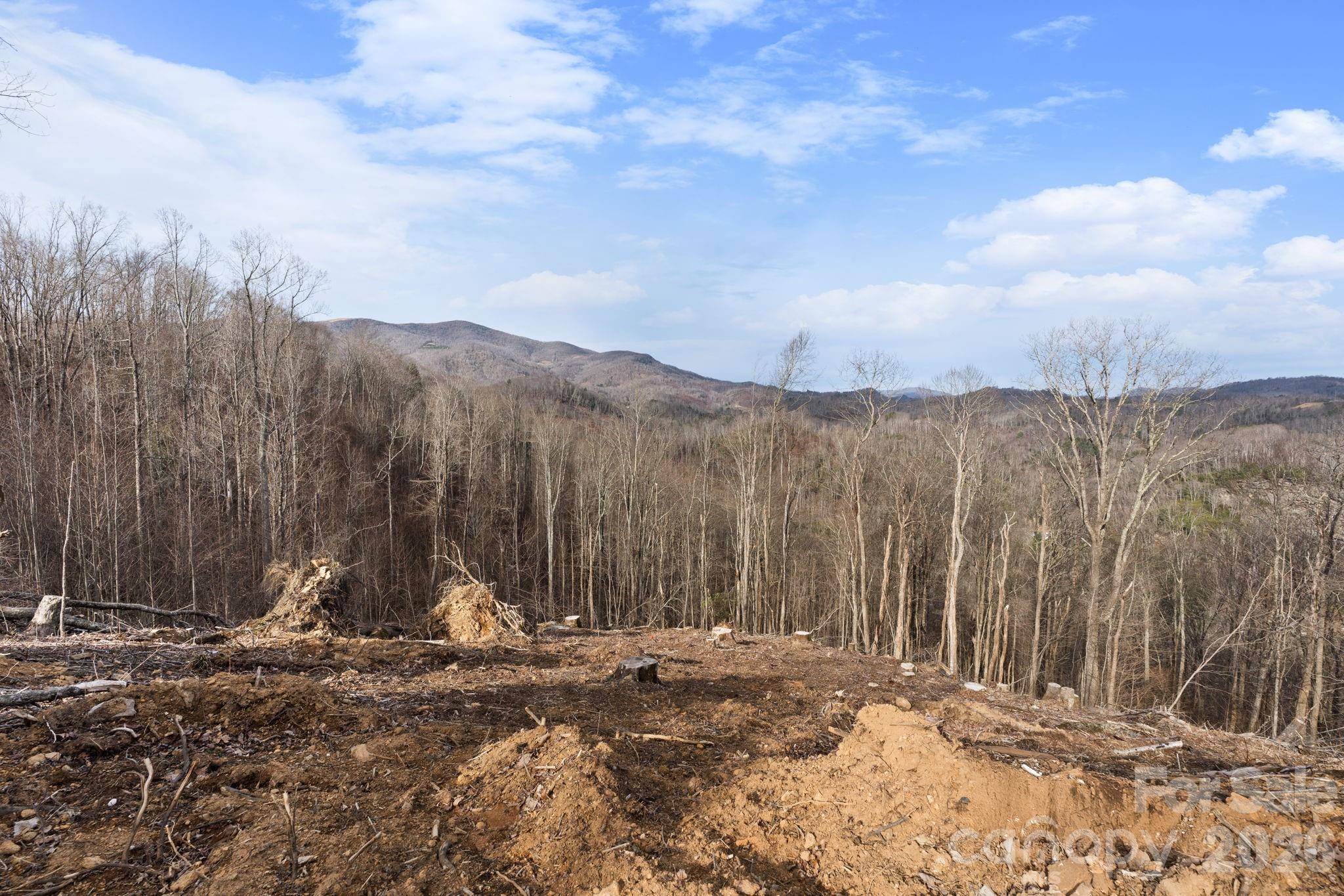 TBD Pinnacle VW, Elk Park, NC 28622