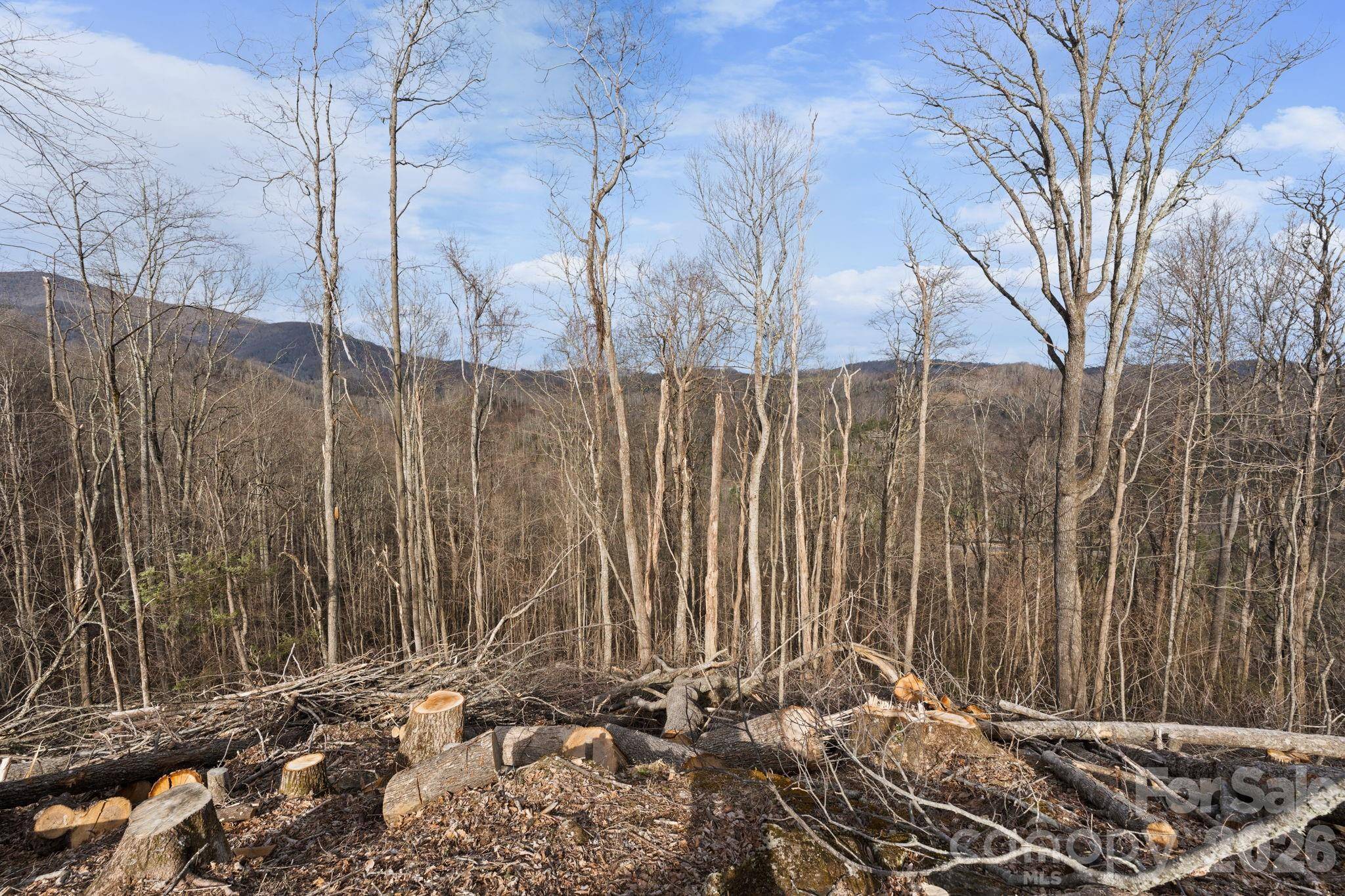 TBD Pinnacle VW, Elk Park, NC 28622