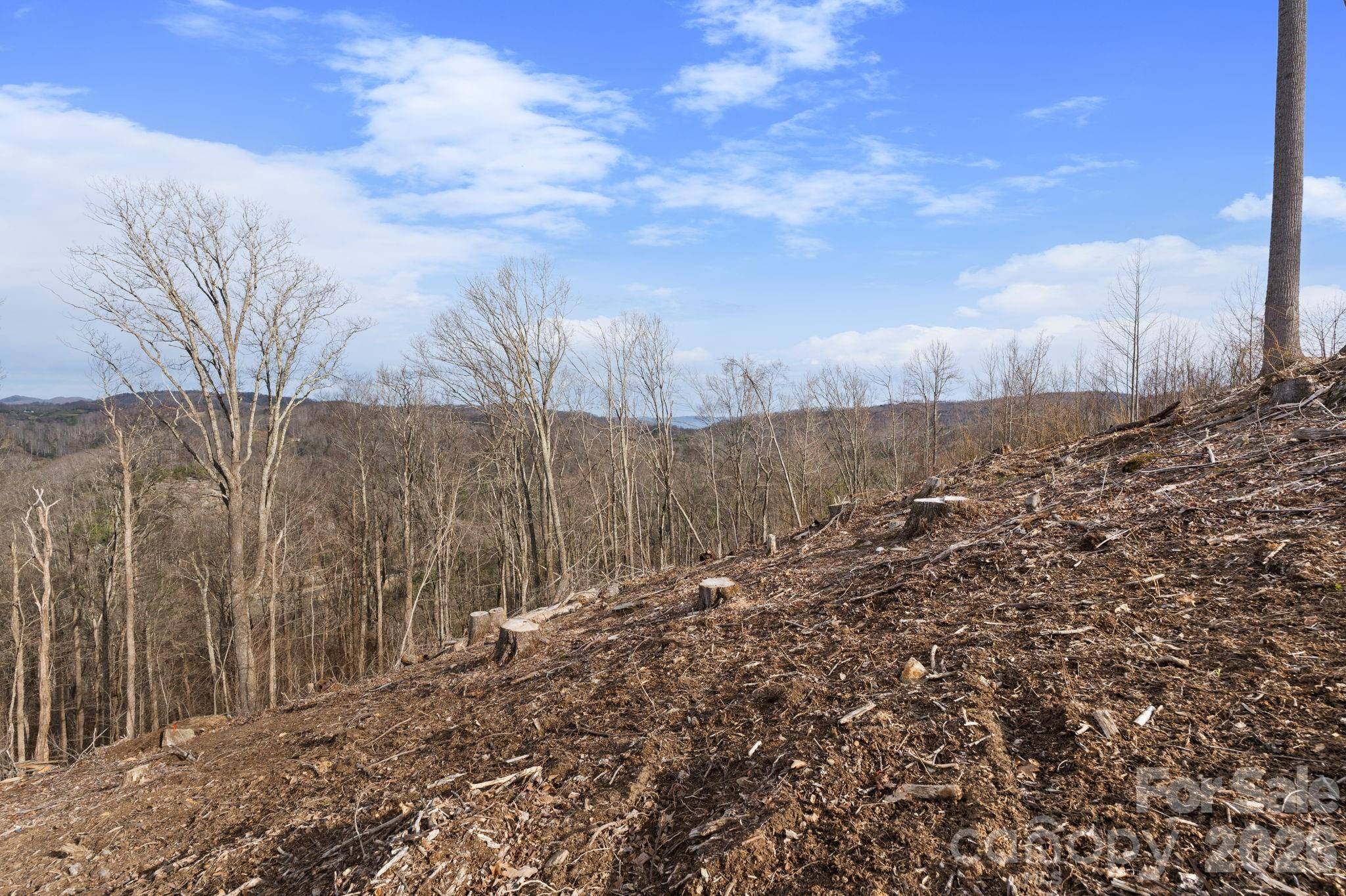 TBD Pinnacle VW, Elk Park, NC 28622