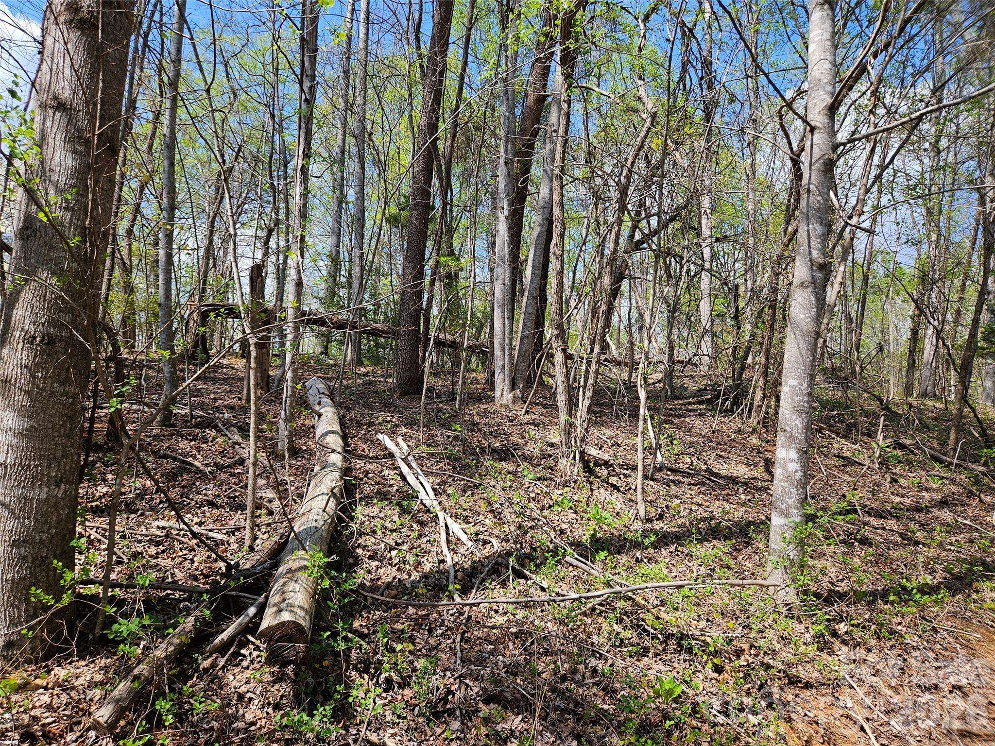 0 Whitney BLVD #57, Lake Lure, NC 28746