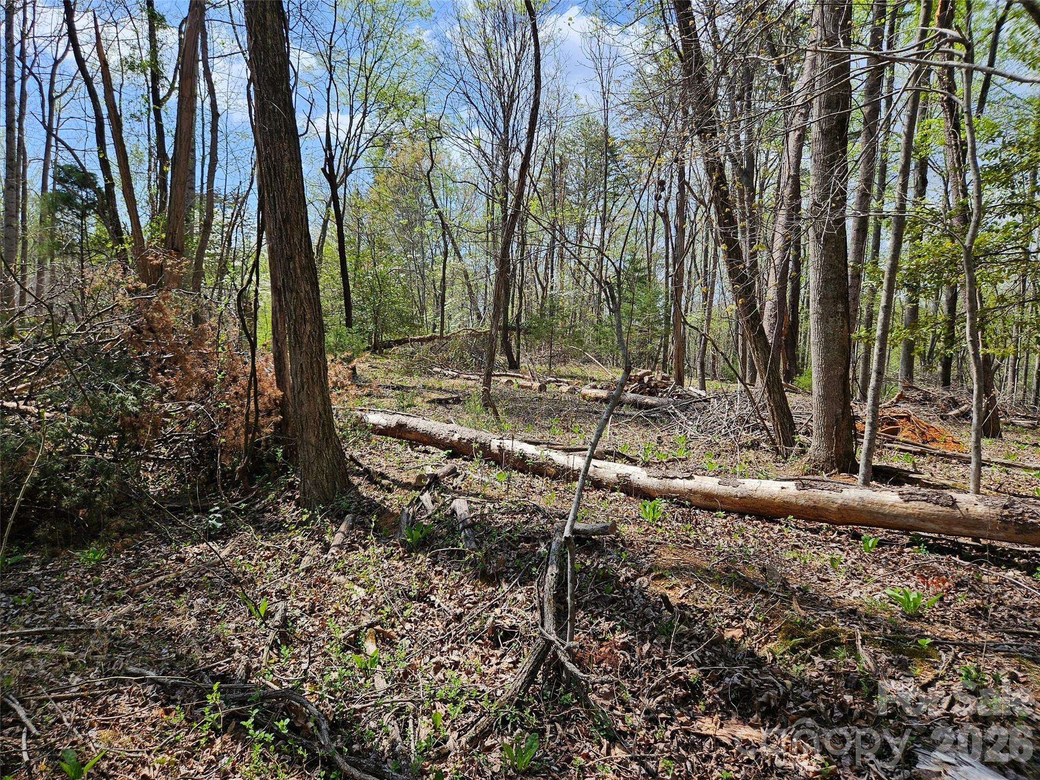 0 Whitney BLVD #57, Lake Lure, NC 28746