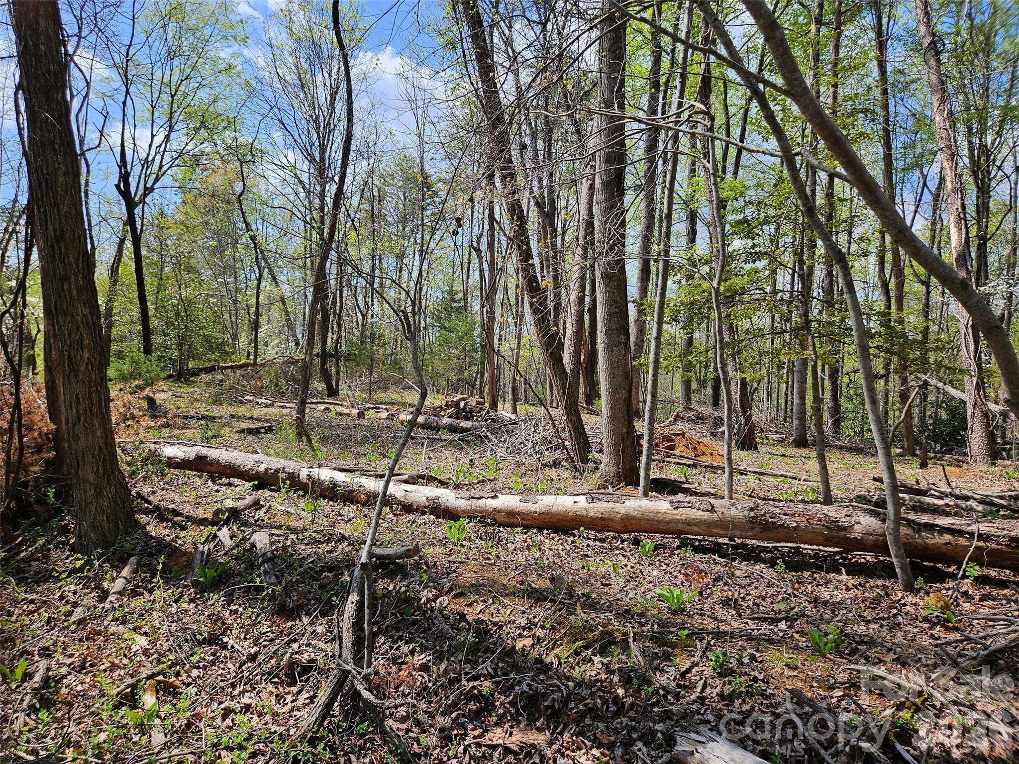 0 Whitney BLVD #57, Lake Lure, NC 28746