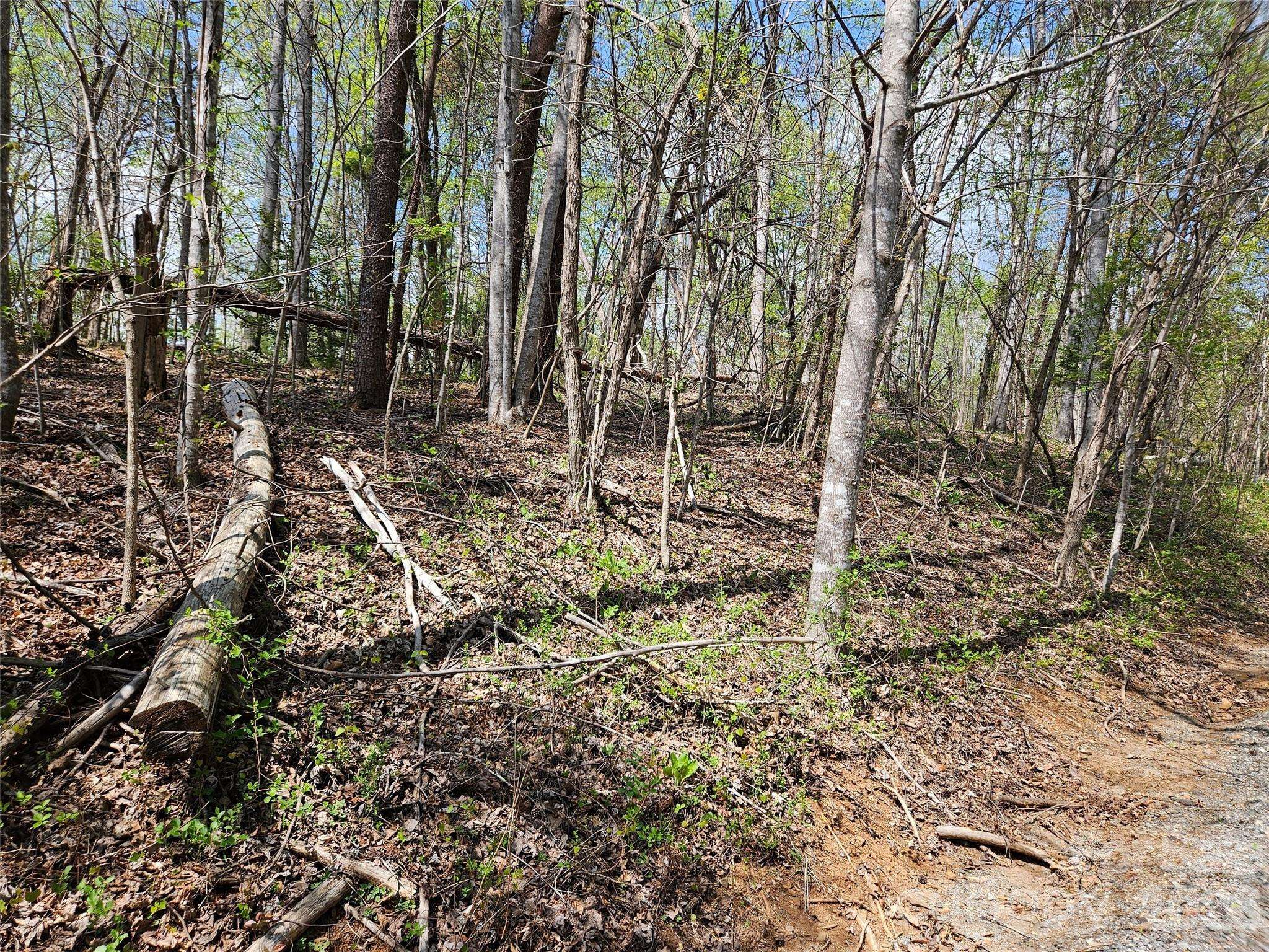 0 Whitney BLVD #57, Lake Lure, NC 28746
