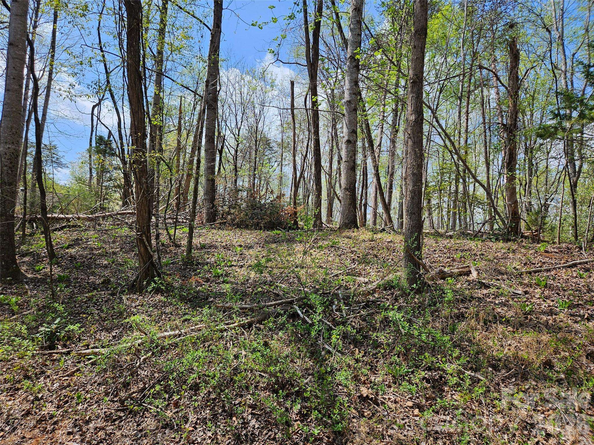 0 Whitney BLVD #57, Lake Lure, NC 28746