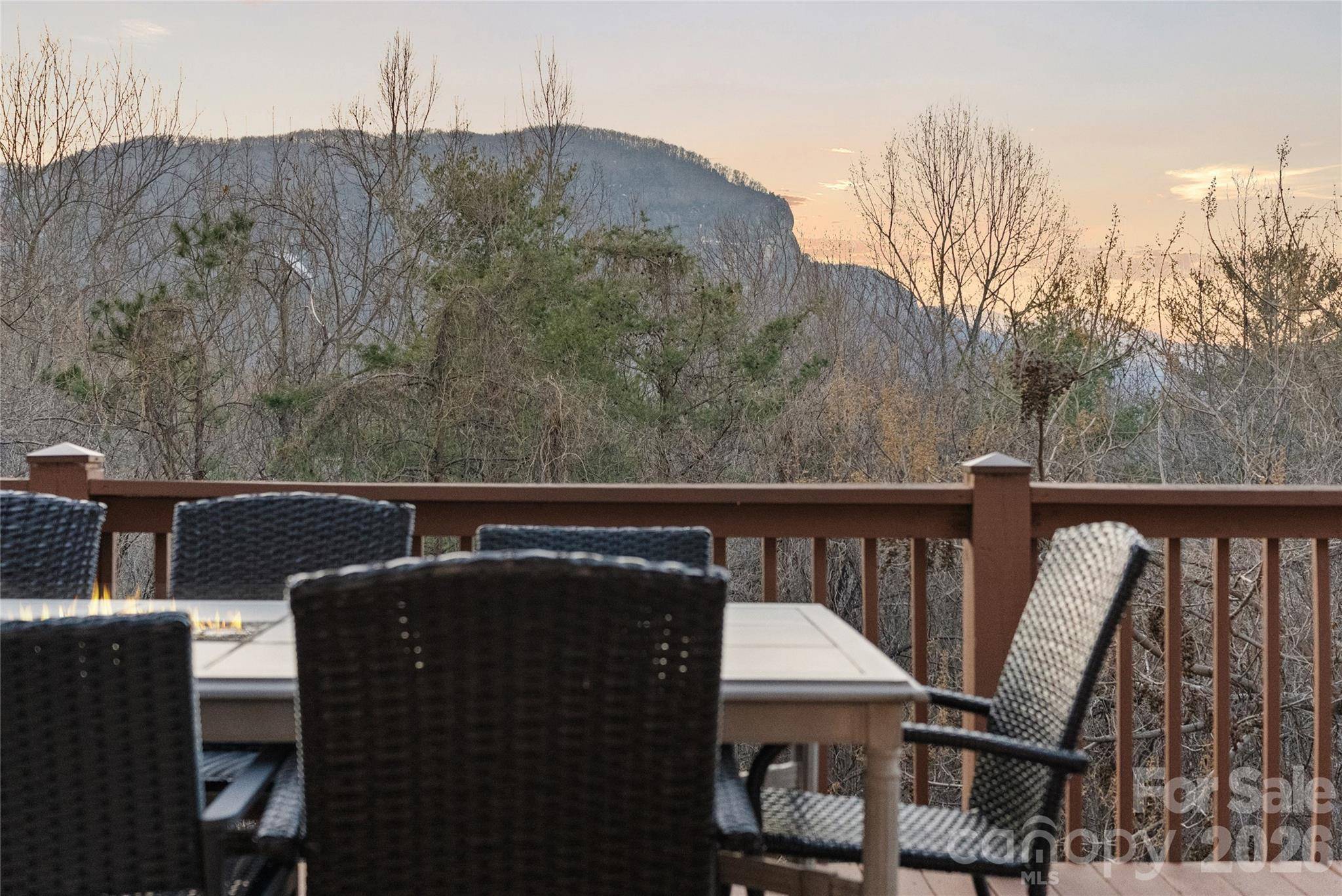 173 Mistletoe PARK, Lake Lure, NC 28746