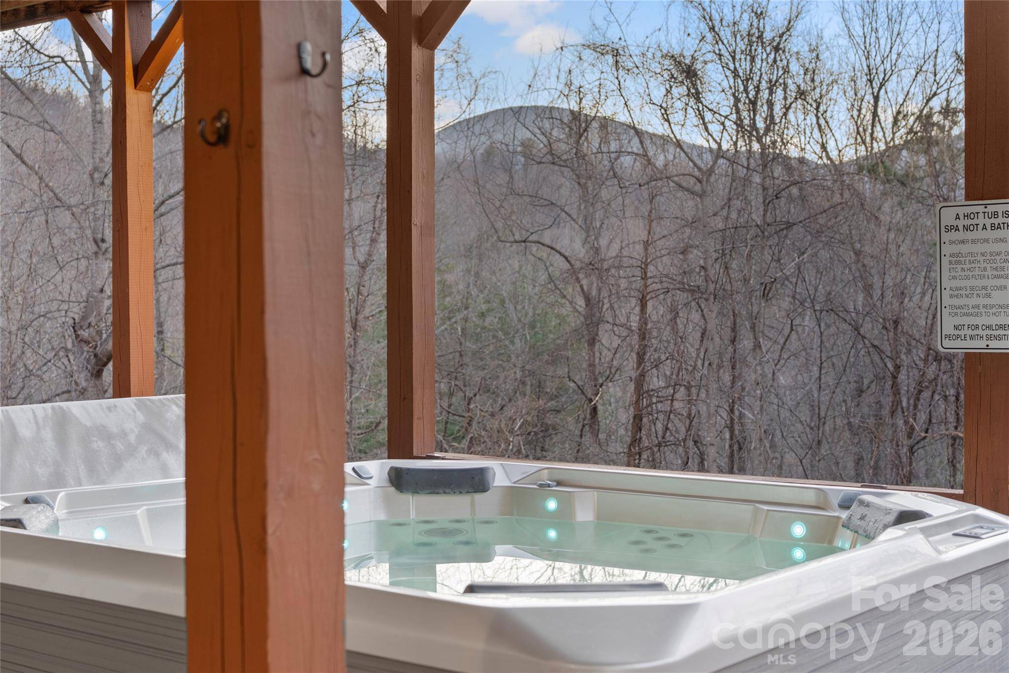 173 Mistletoe PARK, Lake Lure, NC 28746