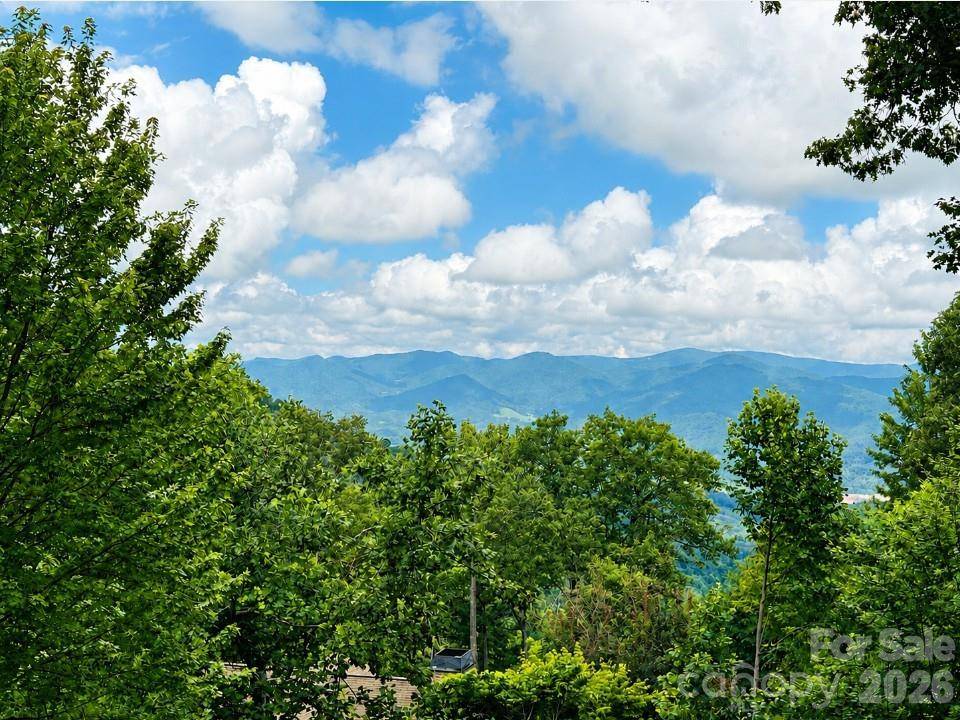 10 Stoney Falls LOOP #4/203, Burnsville, NC 28714