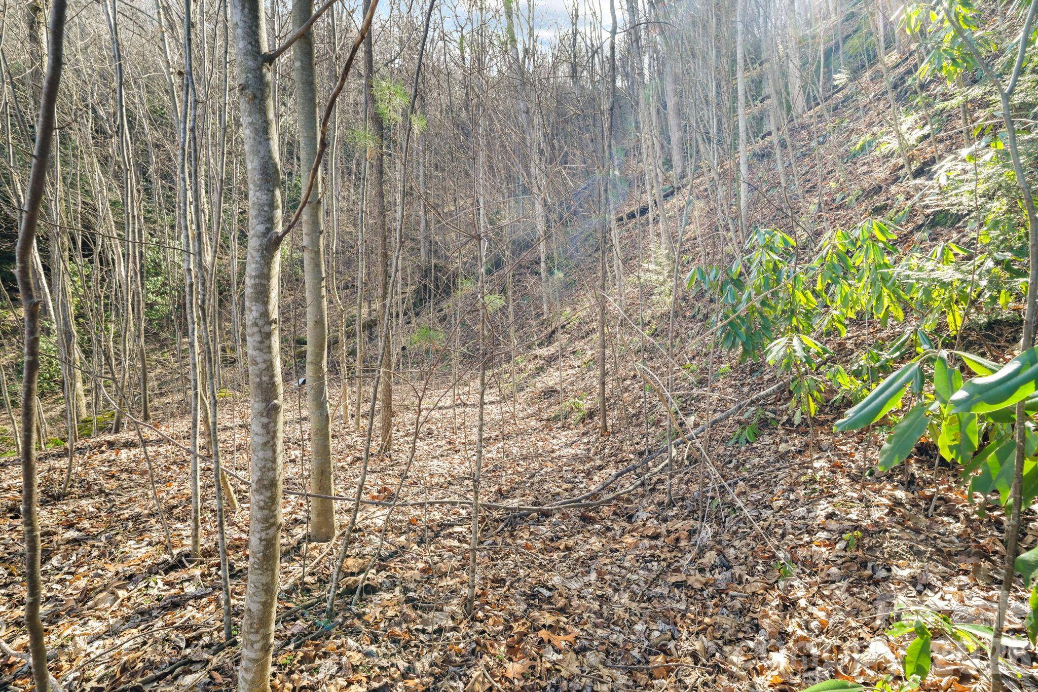 00 Lady Bug LN W #26, Maggie Valley, NC 28751