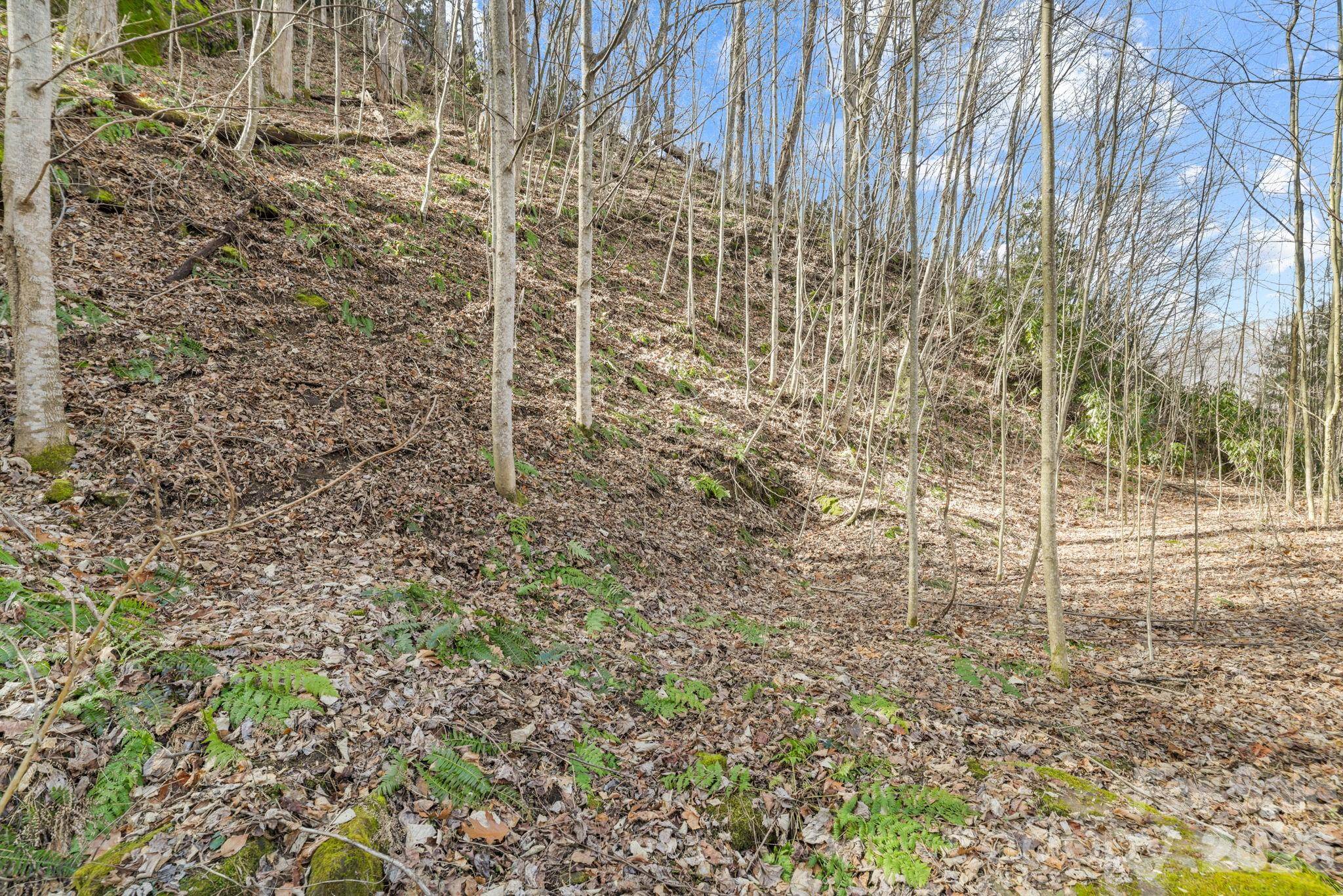 00 Lady Bug LN W #26, Maggie Valley, NC 28751