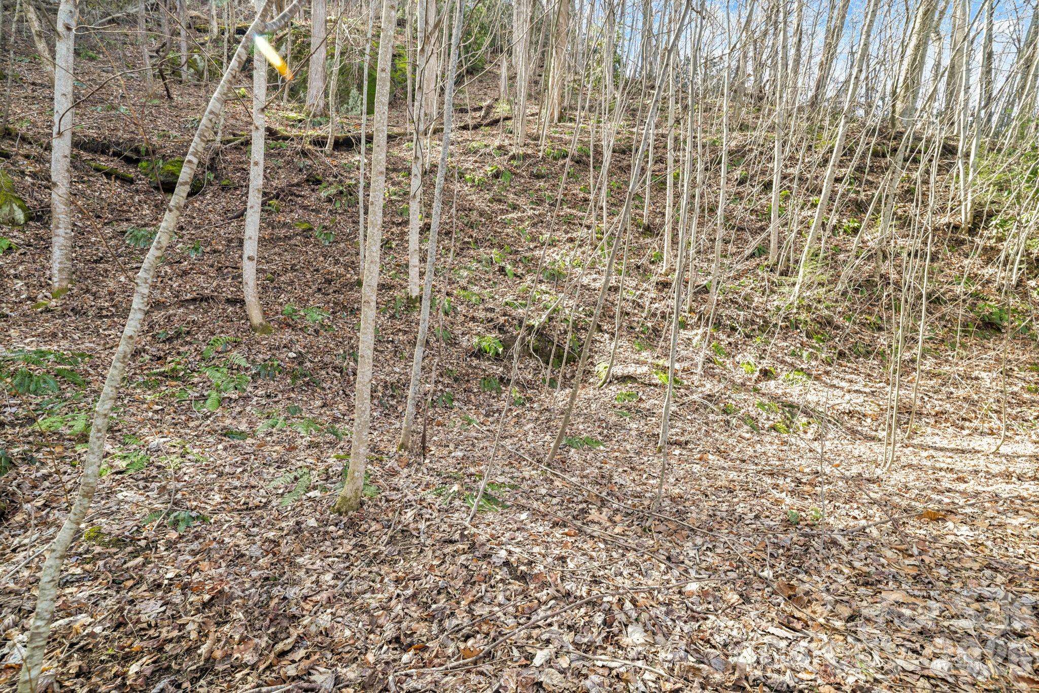 00 Lady Bug LN W #26, Maggie Valley, NC 28751
