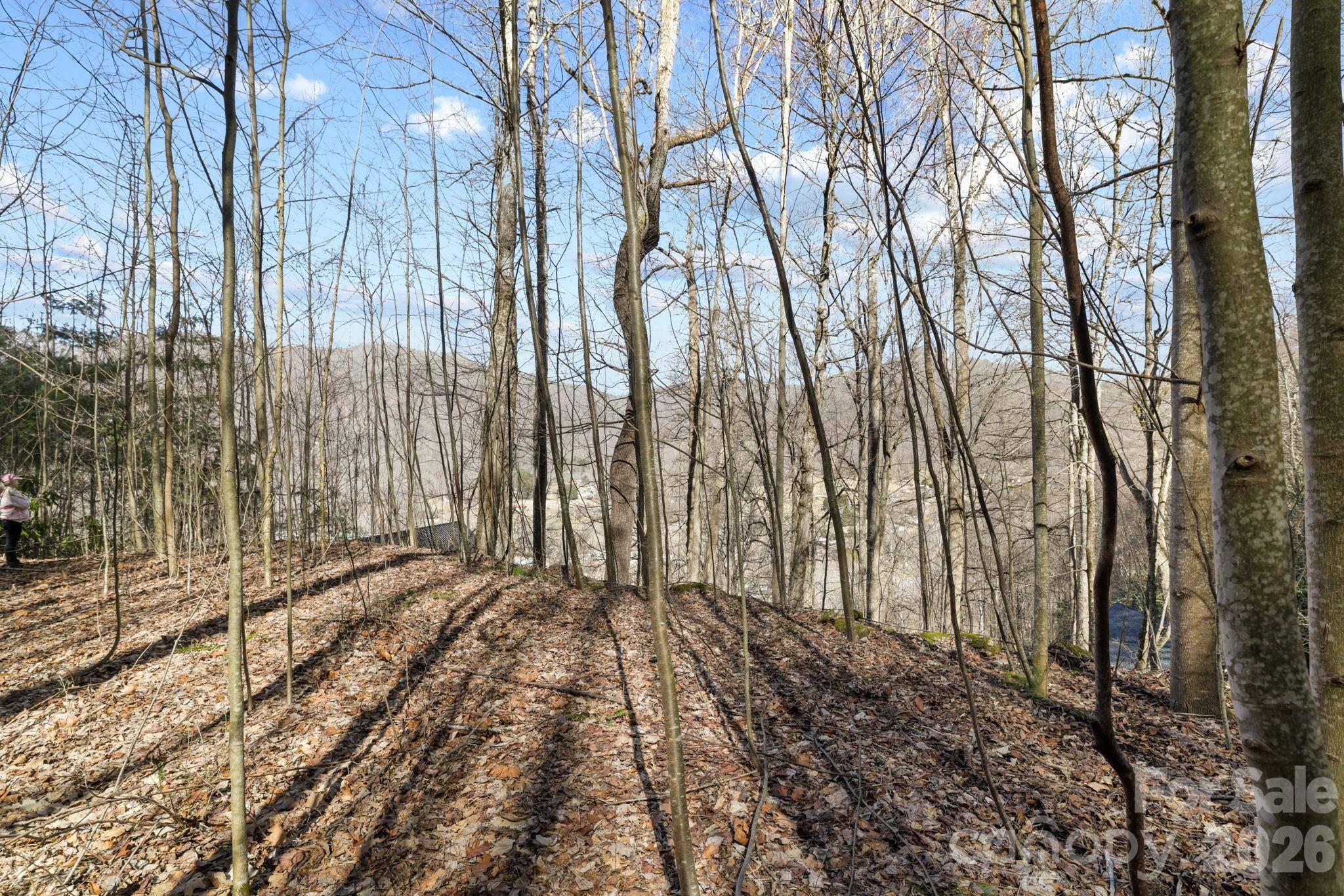 00 Lady Bug LN W #26, Maggie Valley, NC 28751