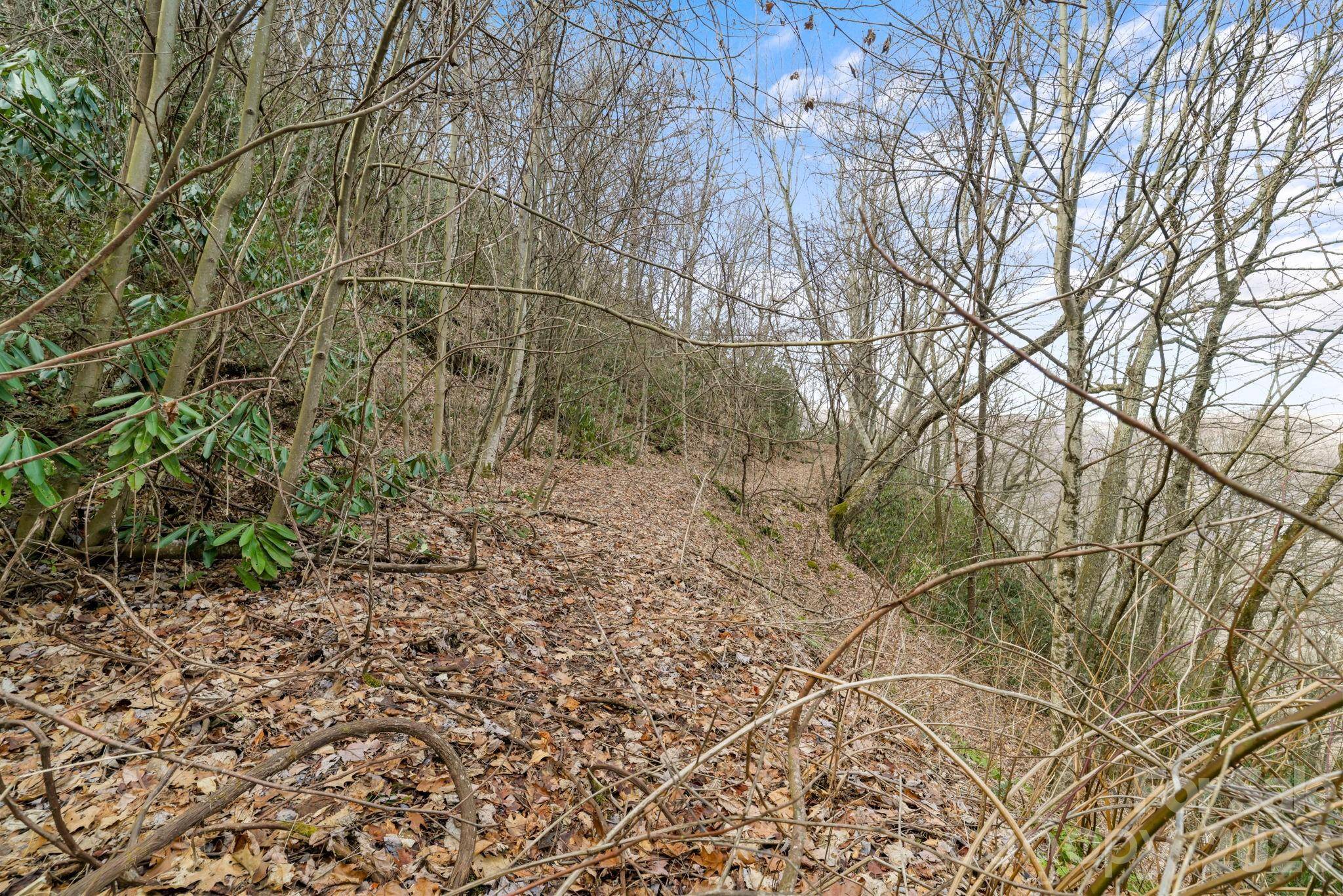 00 Forest DR #14, Maggie Valley, NC 28751