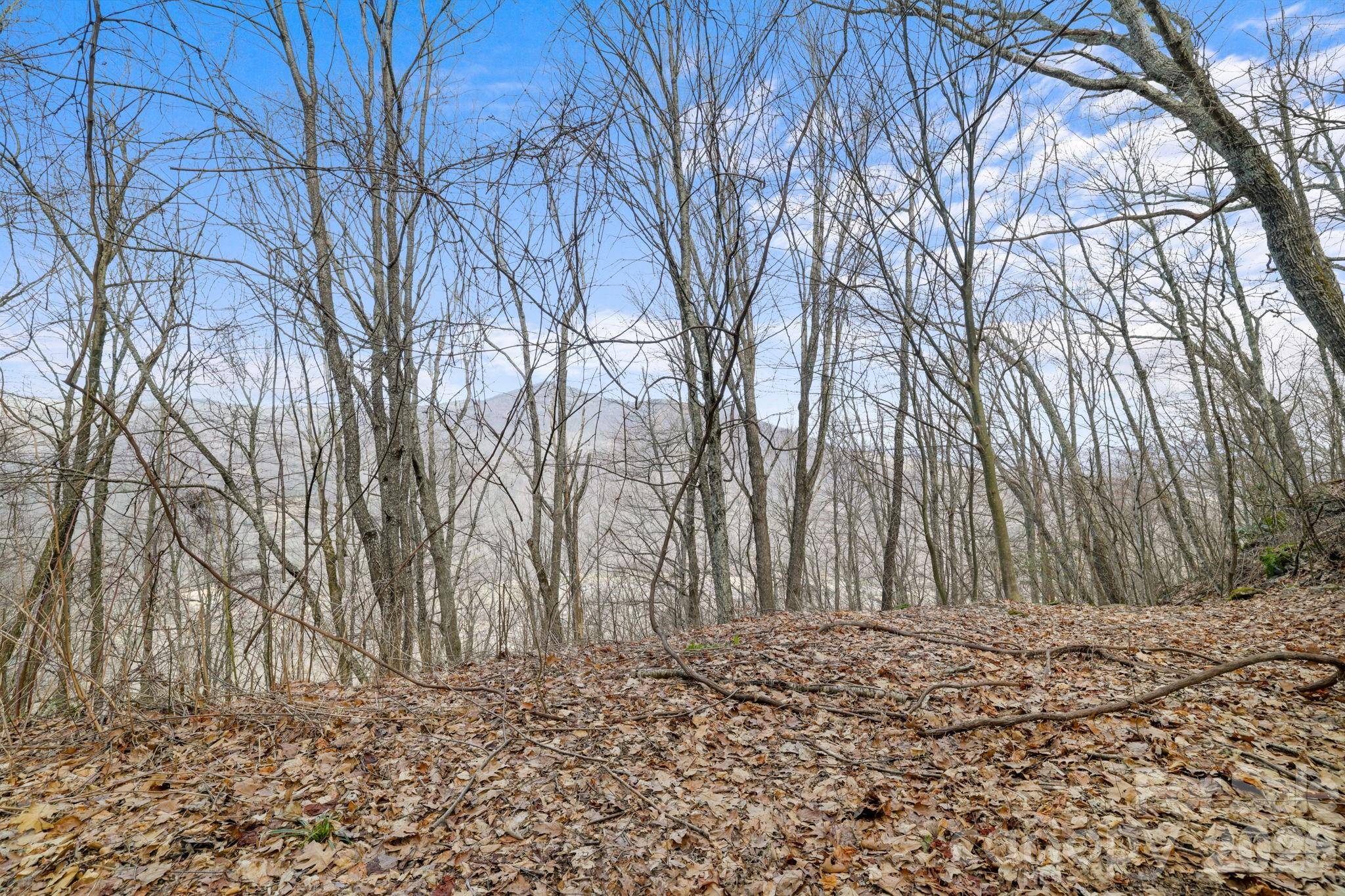 00 Forest DR #14, Maggie Valley, NC 28751