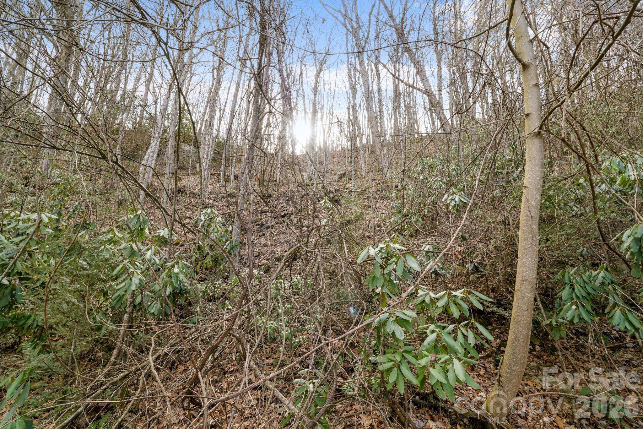 00 Forest DR #14, Maggie Valley, NC 28751