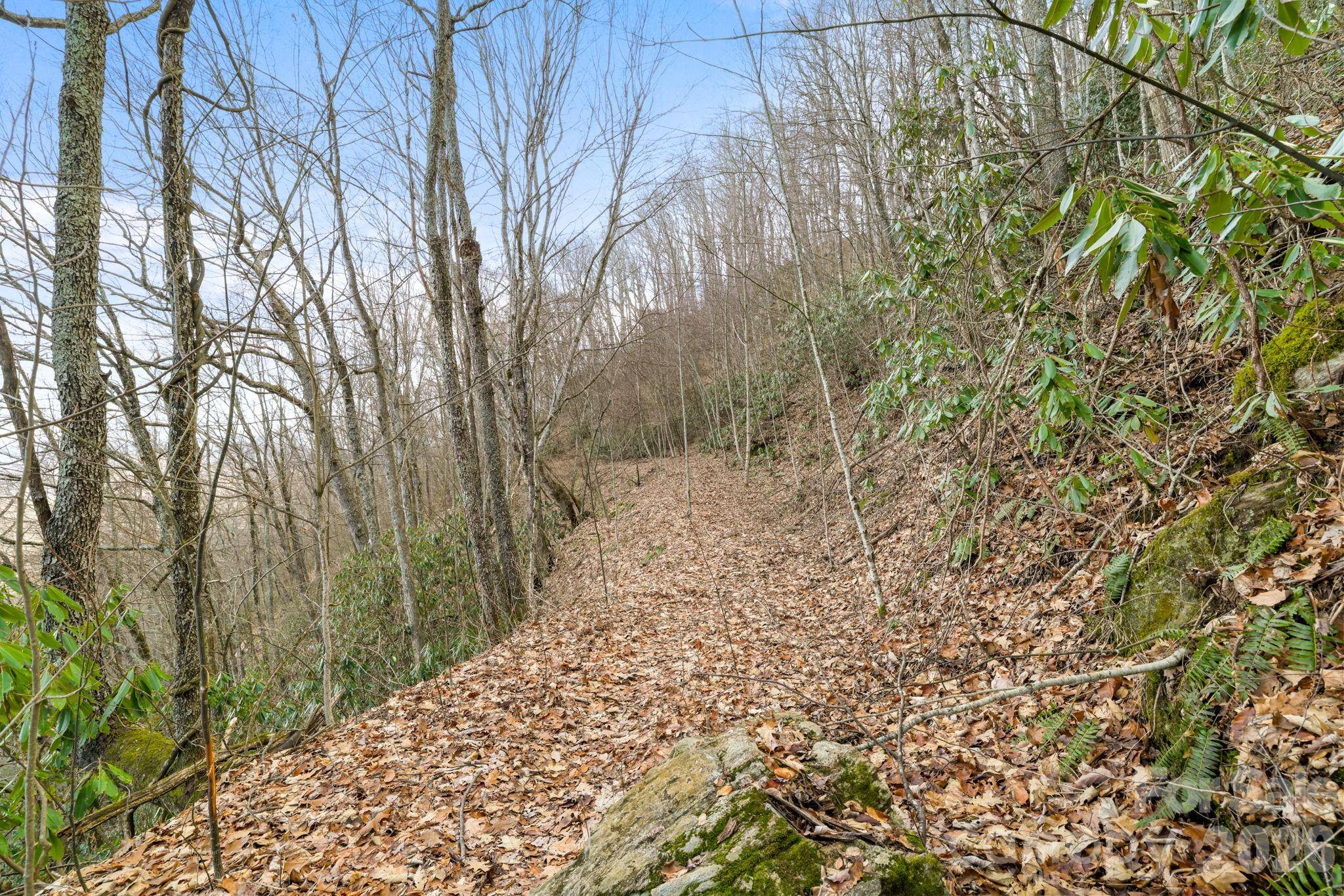 00 Forest DR #14, Maggie Valley, NC 28751