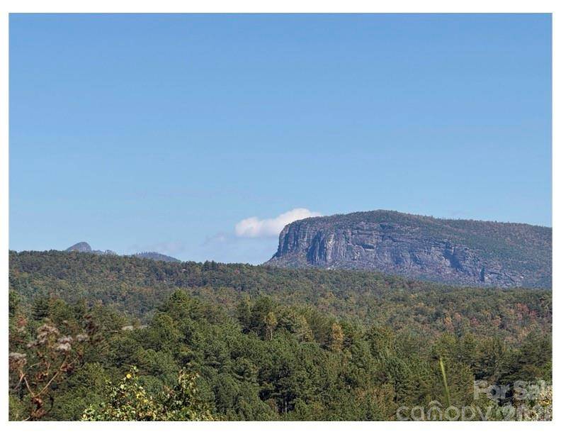 Lot #4 Pisgah Preserve DR, Nebo, NC 28761