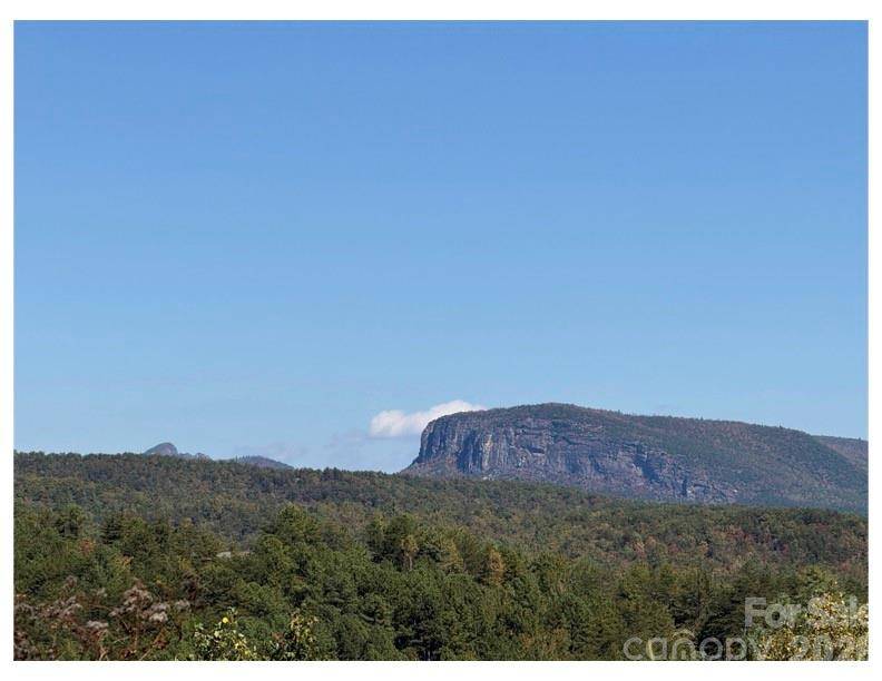 Lot #4 Pisgah Preserve DR, Nebo, NC 28761