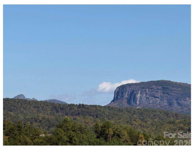 Lot #4 Pisgah Preserve DR, Nebo, NC 28761