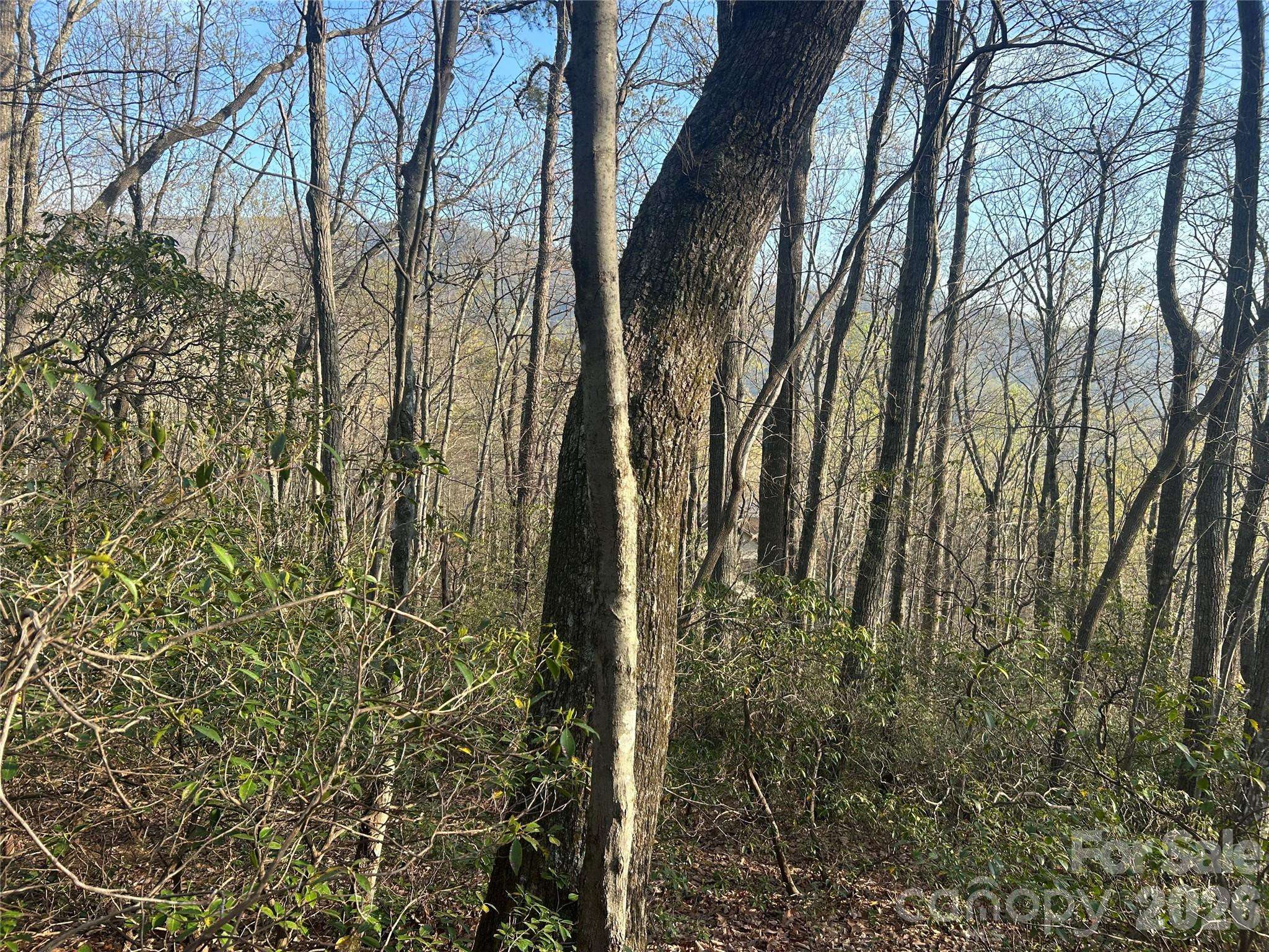 Lot 301 Cardinal RD #301, Lake Lure, NC 28746
